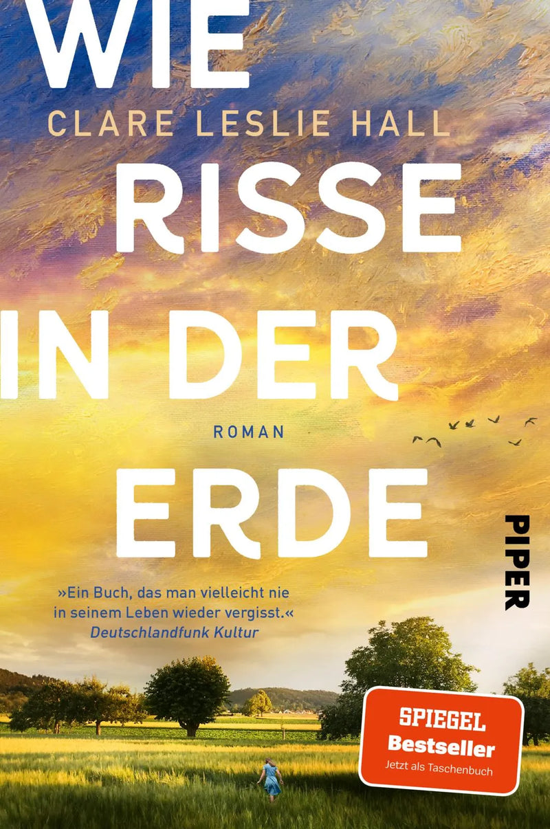 Wie Risse in der Erde