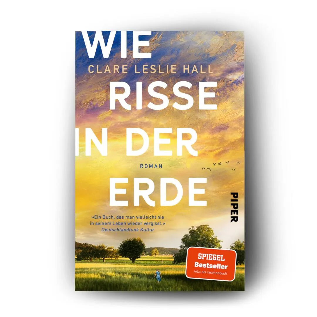 Detailansicht: Wie Risse in der Erde (Paperback)