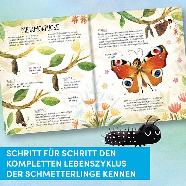 Detailansicht: Wie Schmetterlinge leben. Amanda erzählt. (Hardcover)