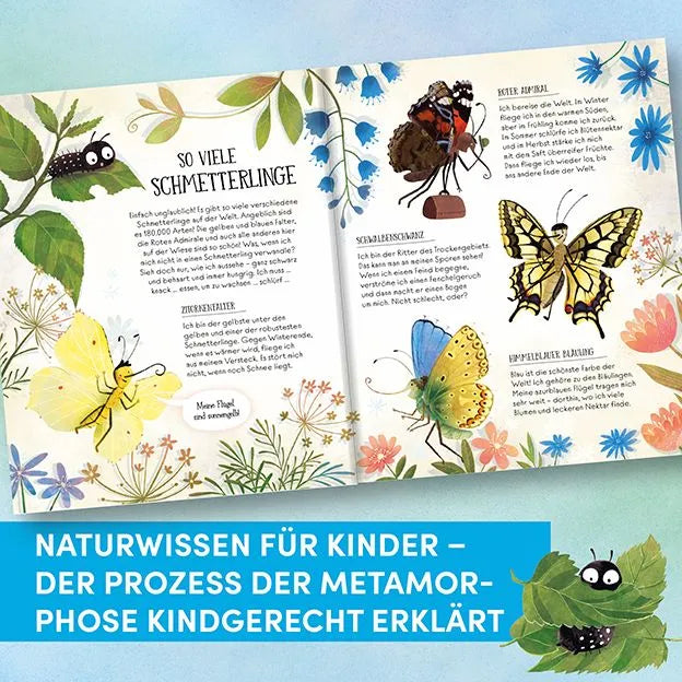 Detailansicht: Wie Schmetterlinge leben. Amanda erzählt. (Hardcover)