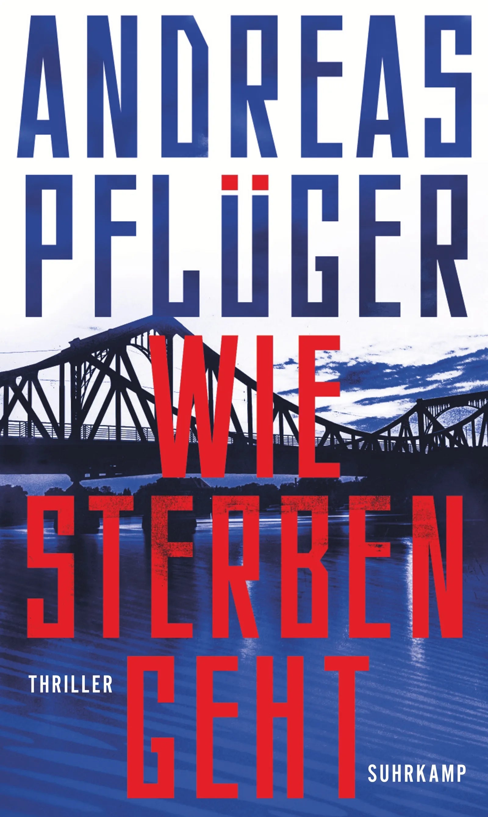 Cover: Wie Sterben geht (E-Book) von Andreas Pflüger