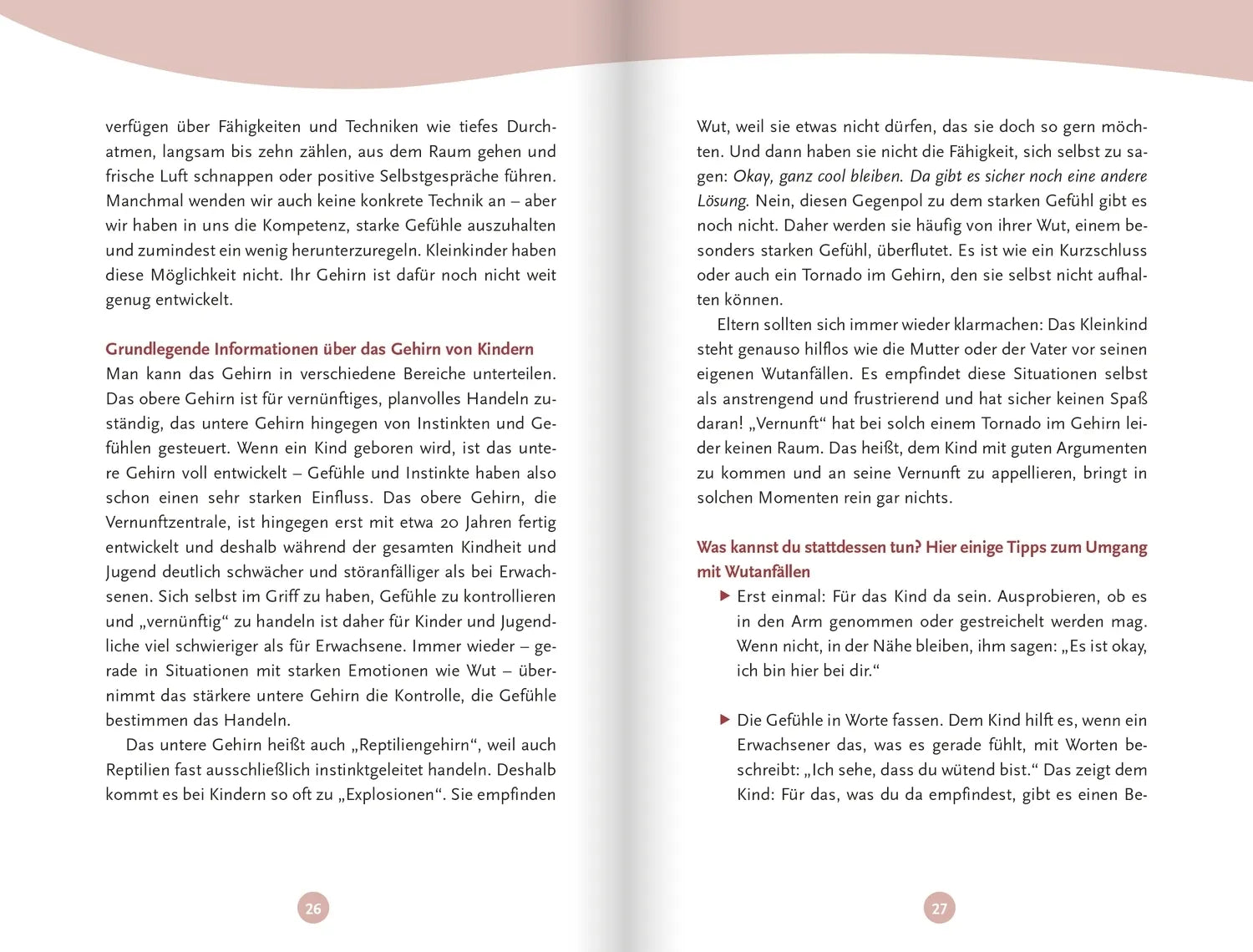 Detailansicht: Wie viel NEIN muss sein? (Taschenbuch)