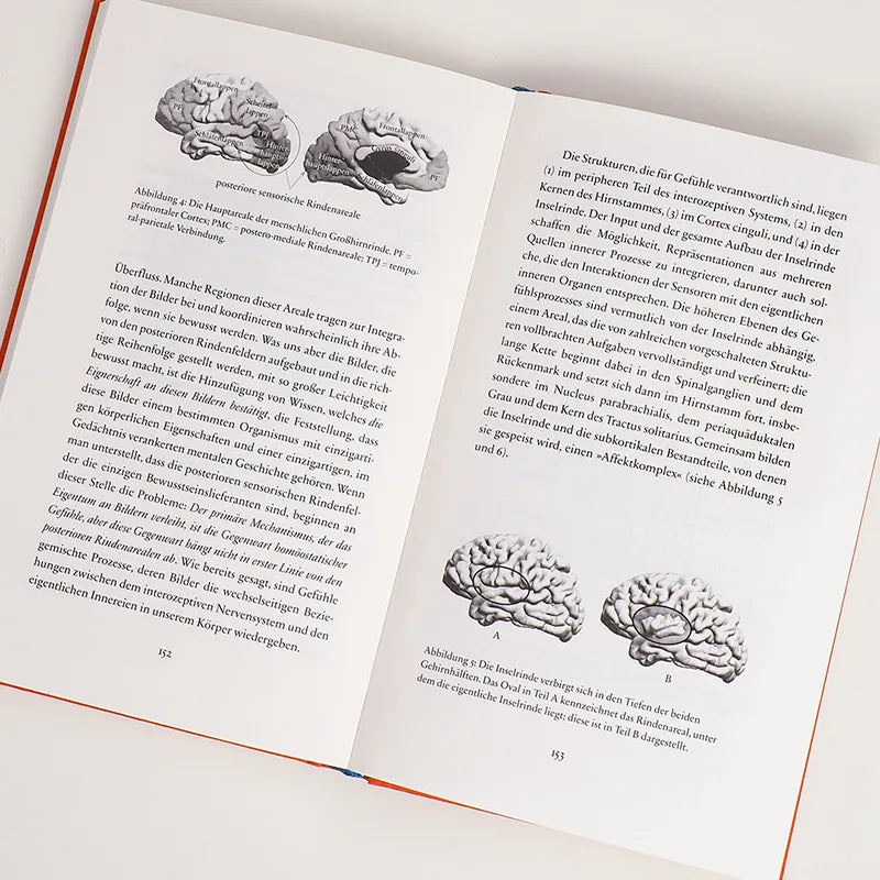 Detailansicht: Wie wir denken, wie wir fühlen (Hardcover)