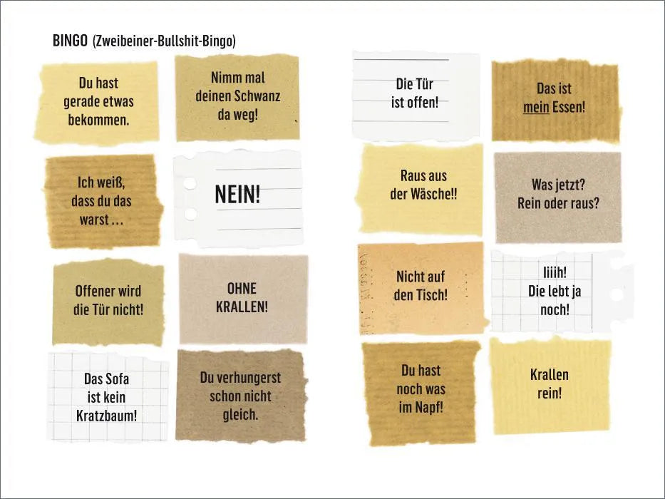 Hermien Stellmacher - Wie wir Katzen die Welt sehen