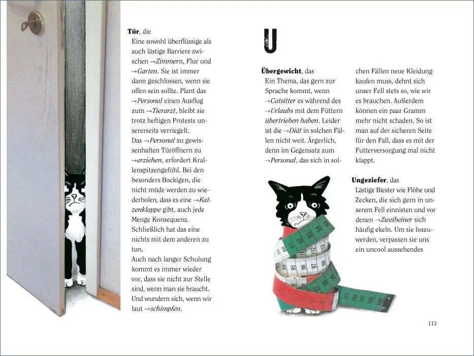 Produktansicht: Wie wir Katzen die Welt sehen (Gebundene Ausgabe)