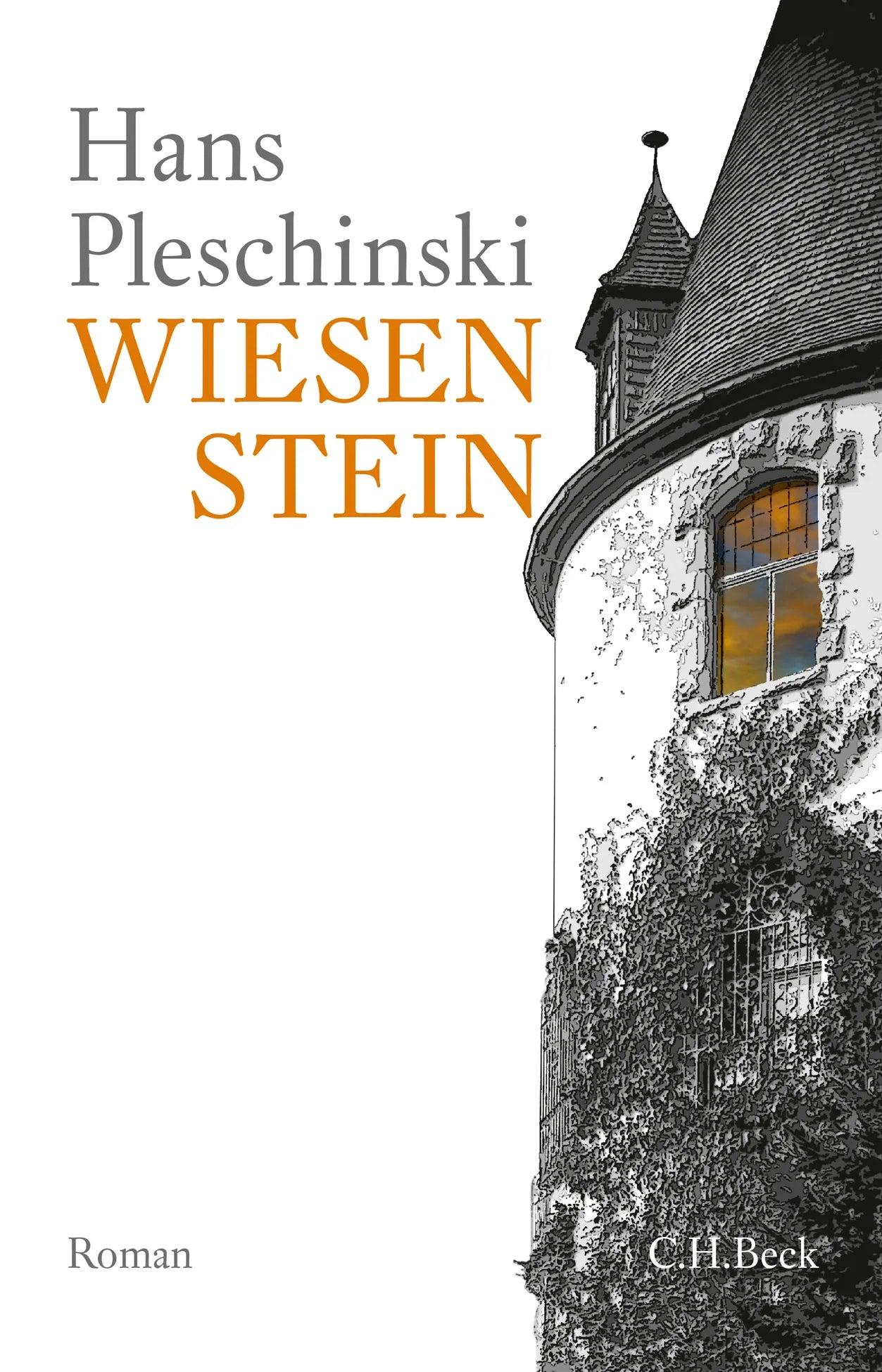 Buchcover von 'Wiesenstein' - Gebundene Ausgabe von Hans Pleschinski