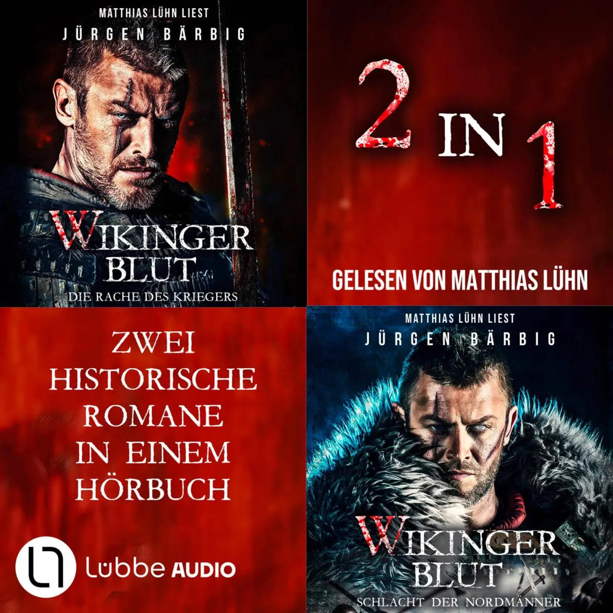 Cover: Wikingerblut - Teil 1-2 (Hörbuch Download) von Jürgen Bärbig