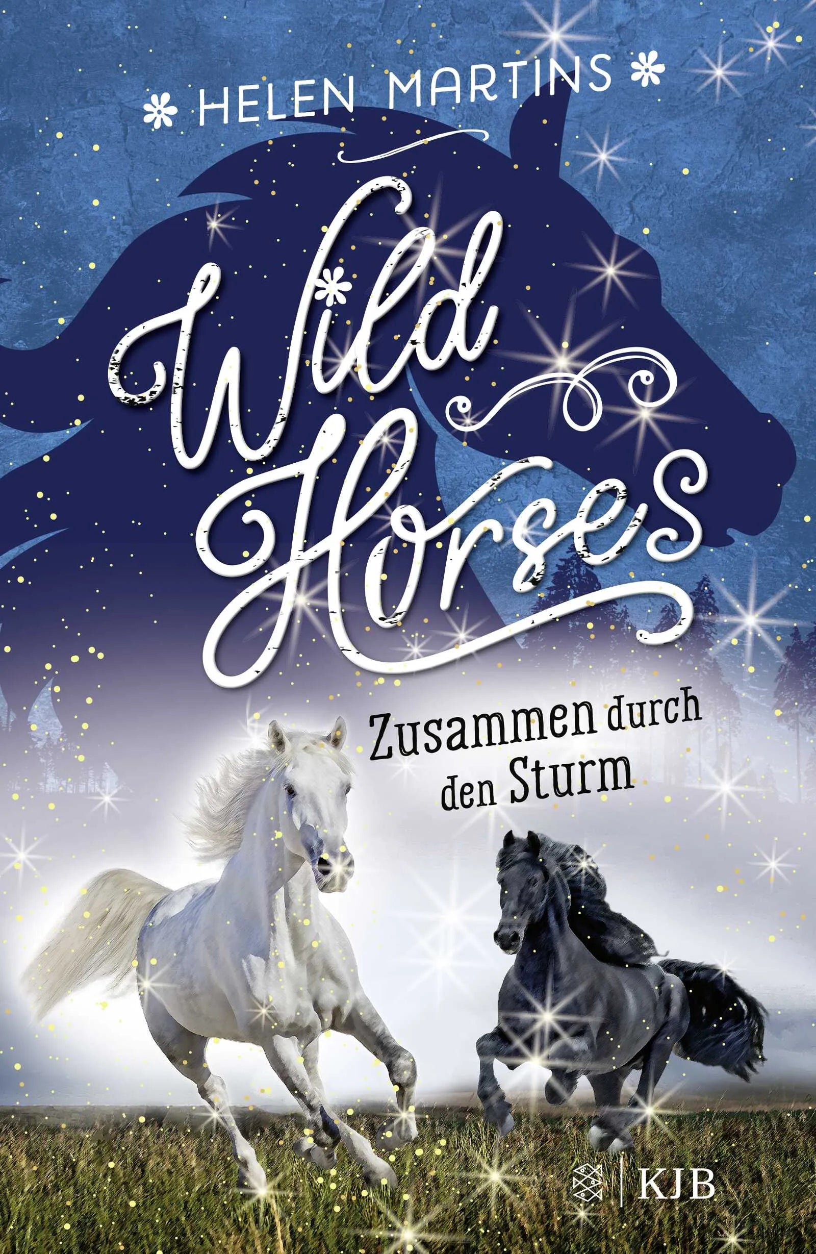 Buchcover von 'Wild Horses − Zusammen durch den Sturm' - Gebundene Ausgabe von Helen Martins