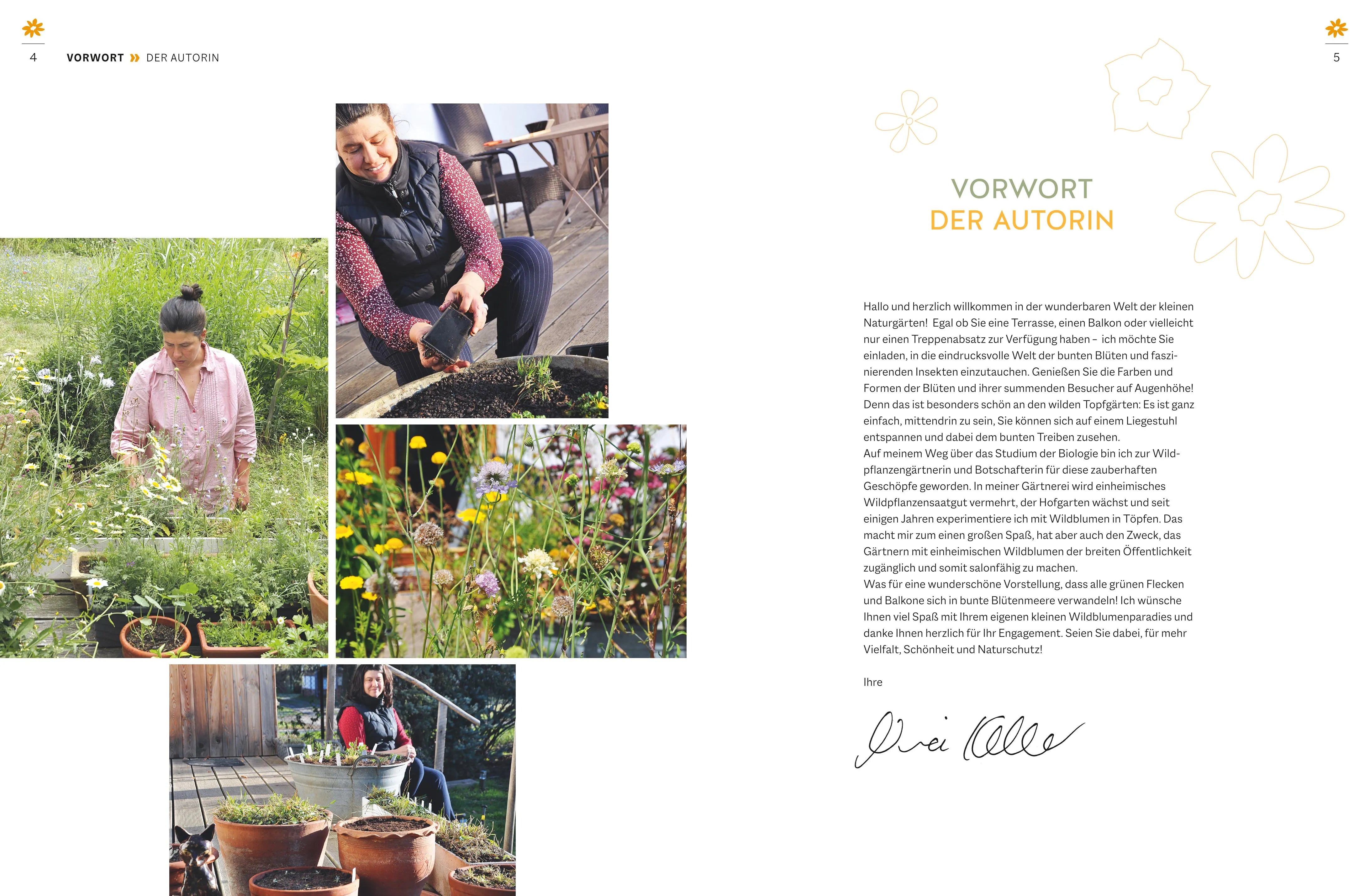 Produktansicht: Wildblumen für Balkon und Terrasse (Gebundene Ausgabe)