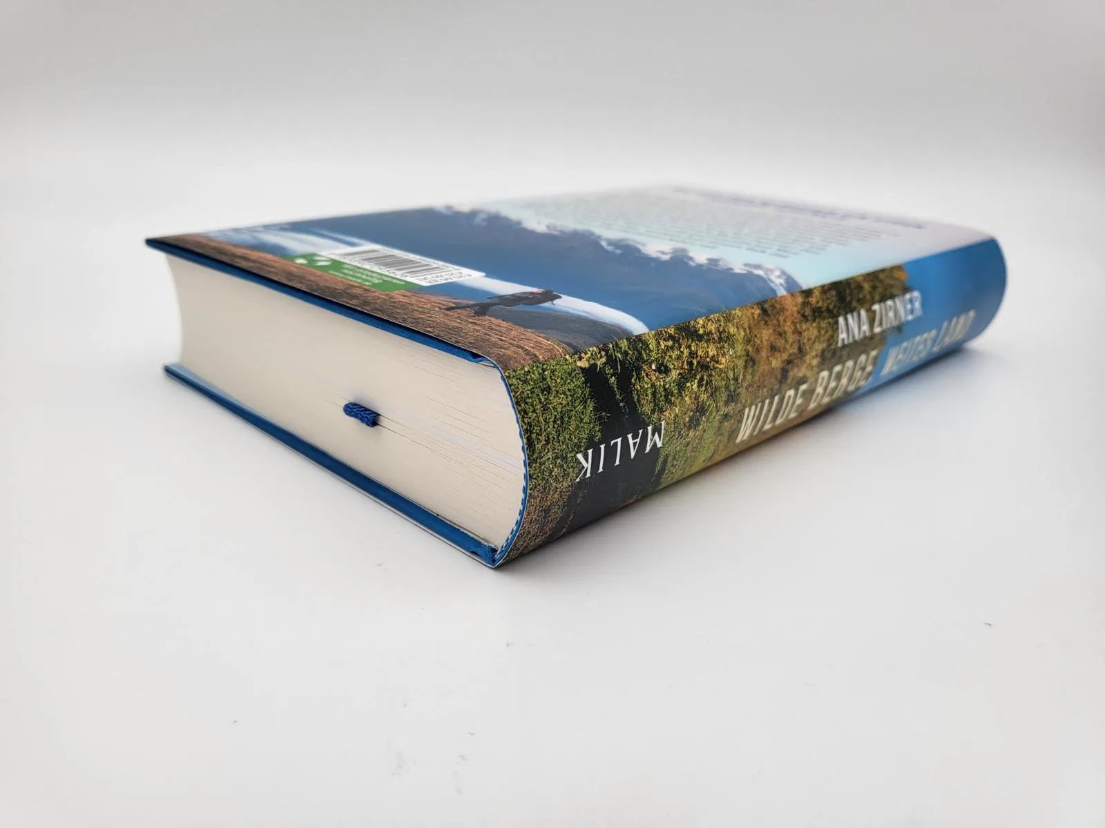 Ana Zirner - Wilde Berge, weites Land