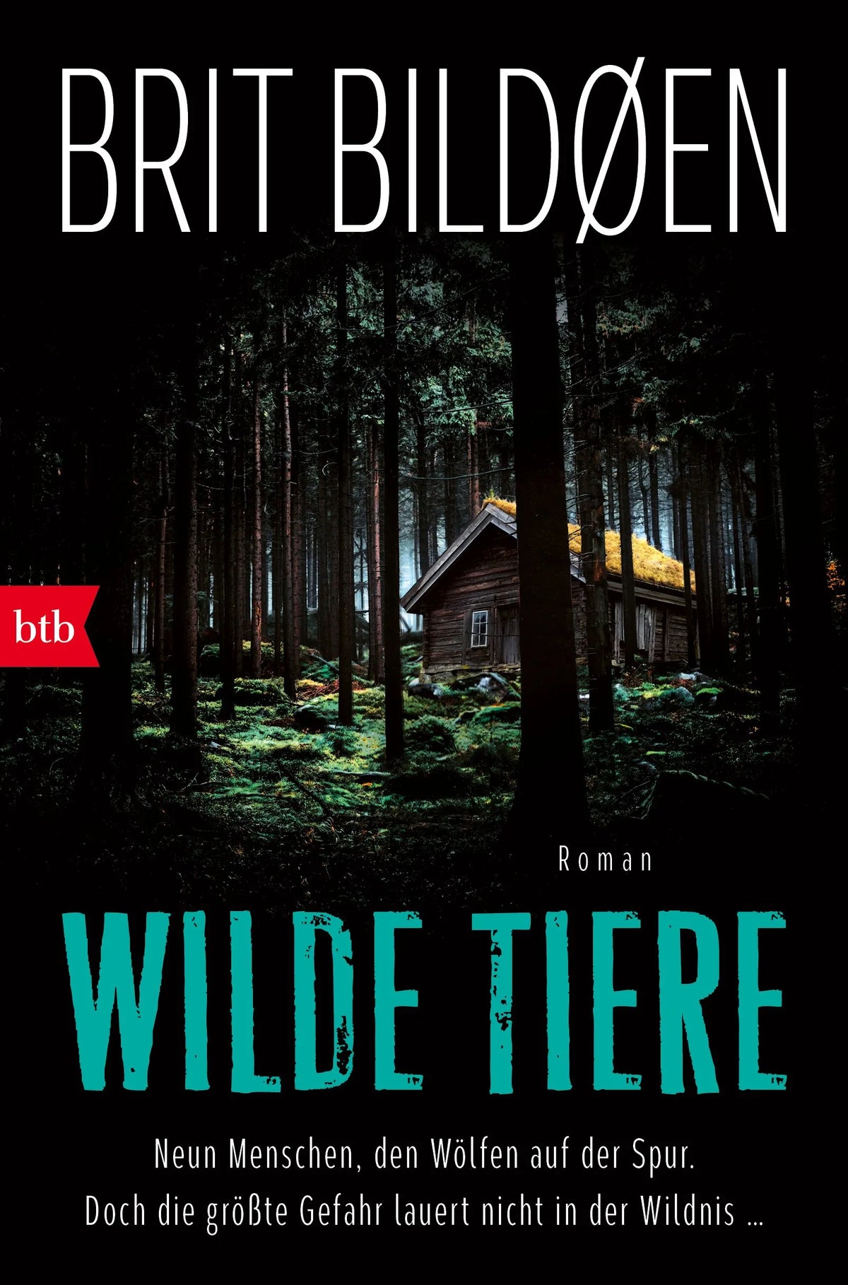 Cover: Wilde Tiere (Paperback) von Brit Bildøen