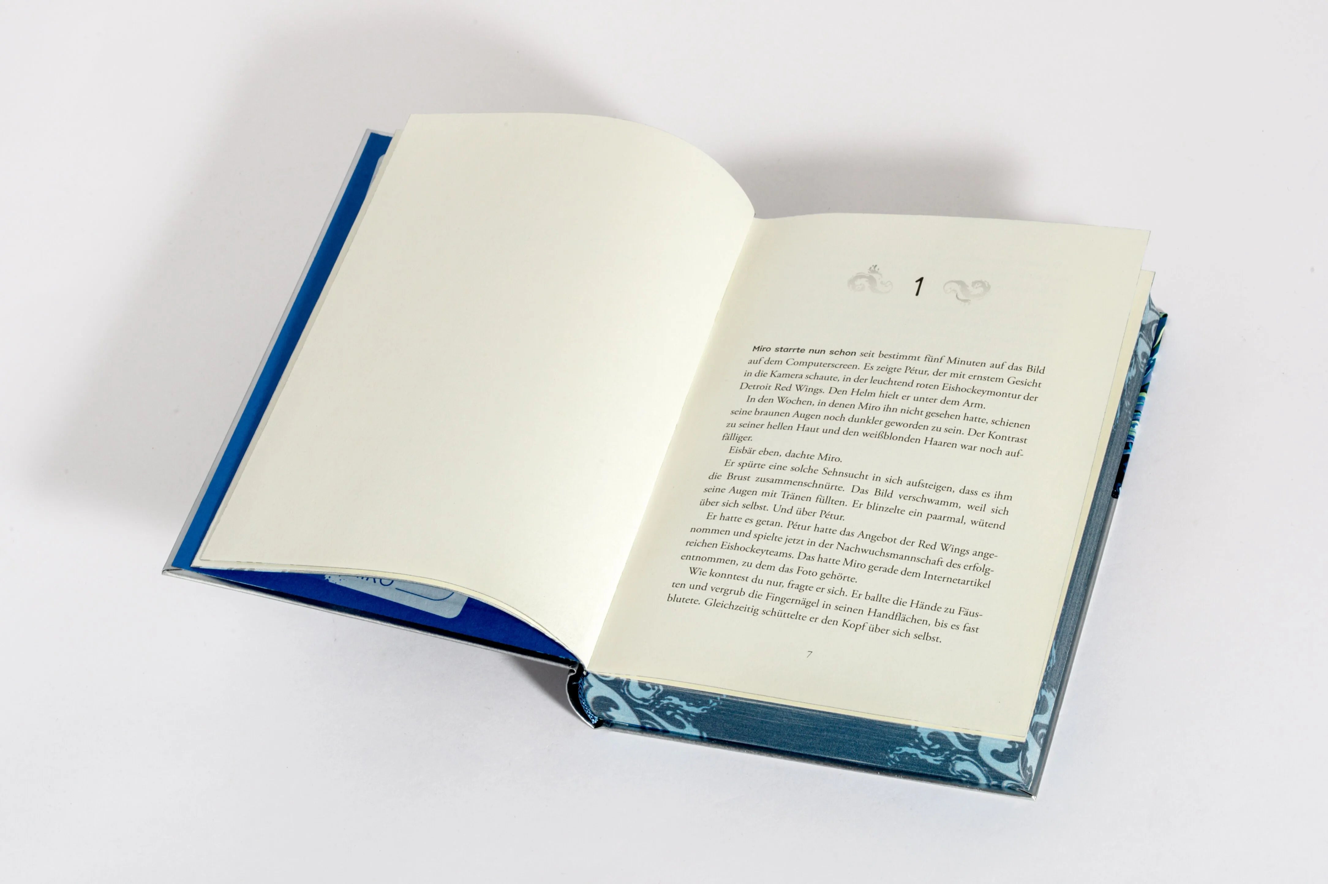 Detailansicht: Wilderland – Das Meer (Hardcover)