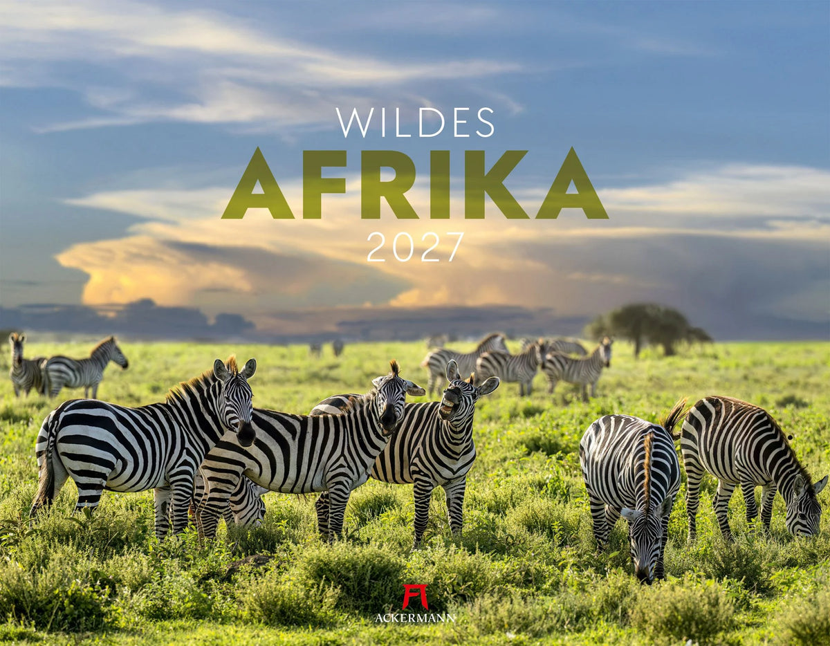 Wandkalender: Wildes Afrika Kalender 2027