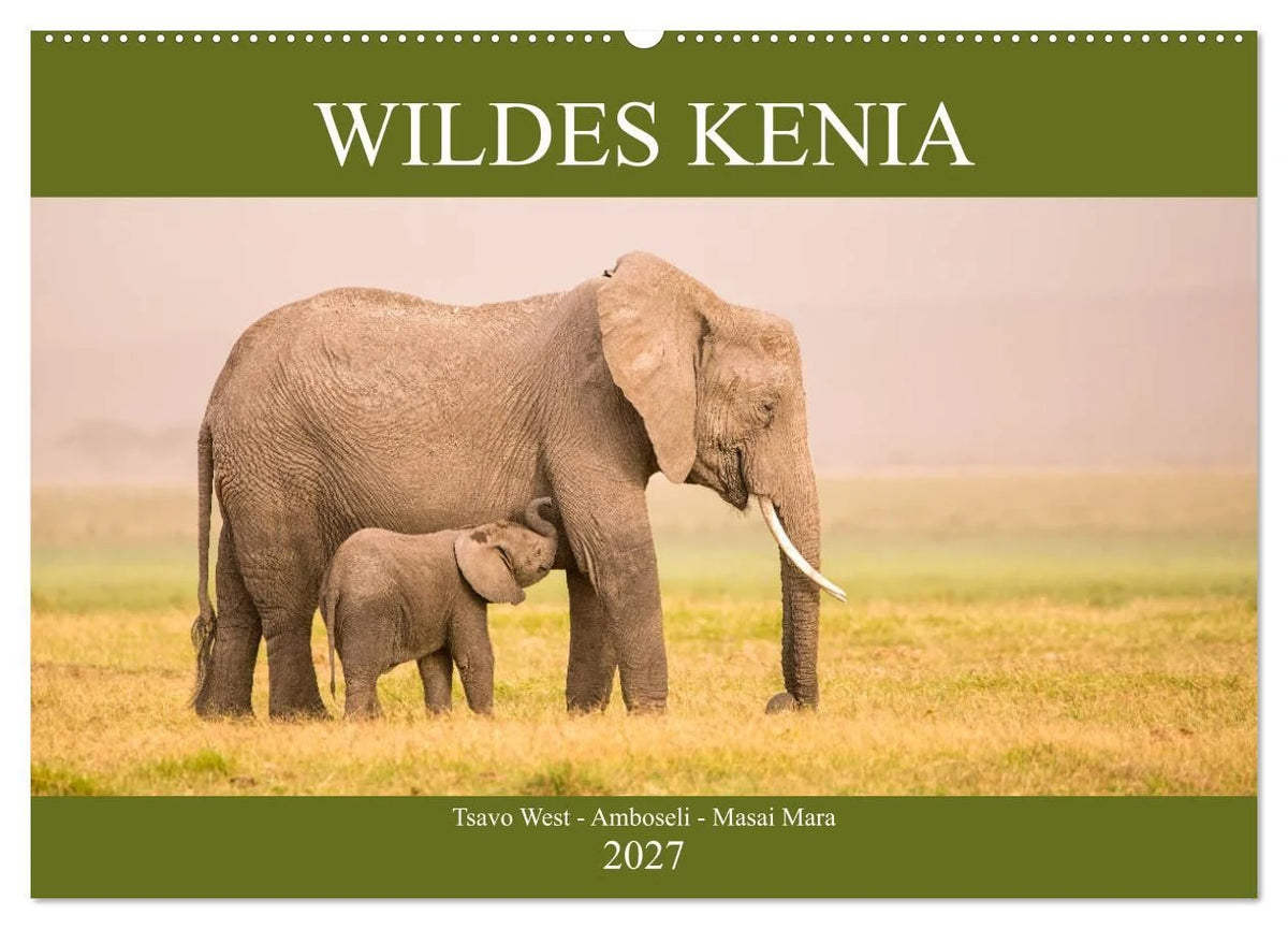 Wandkalender: Wildes Kenia (Wandkalender 2027 DIN A2 quer), CALVENDO Monatskalender