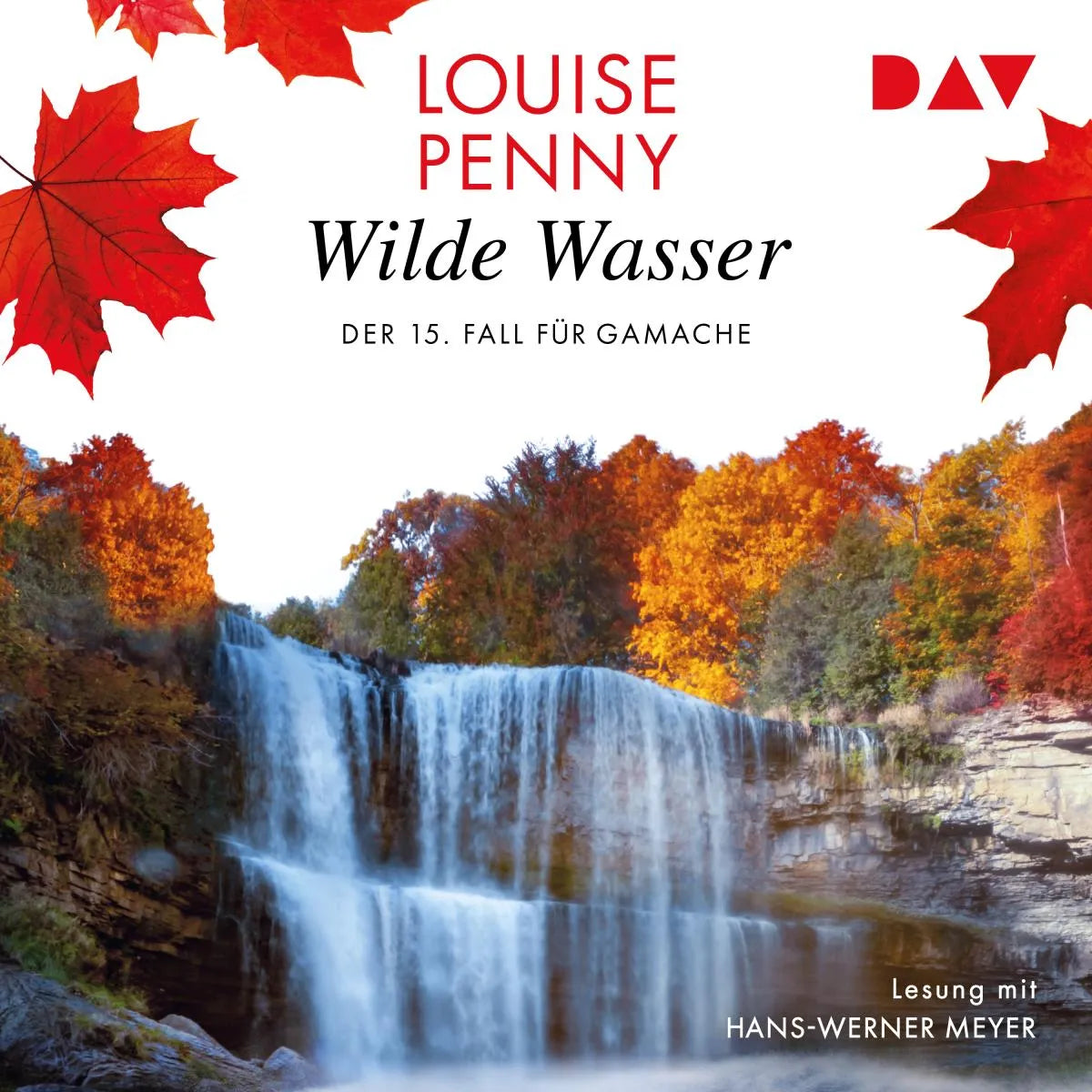Cover: Wildes Wasser. Der 15. Fall für Gamache (Hörbuch Download) von Louise Penny
