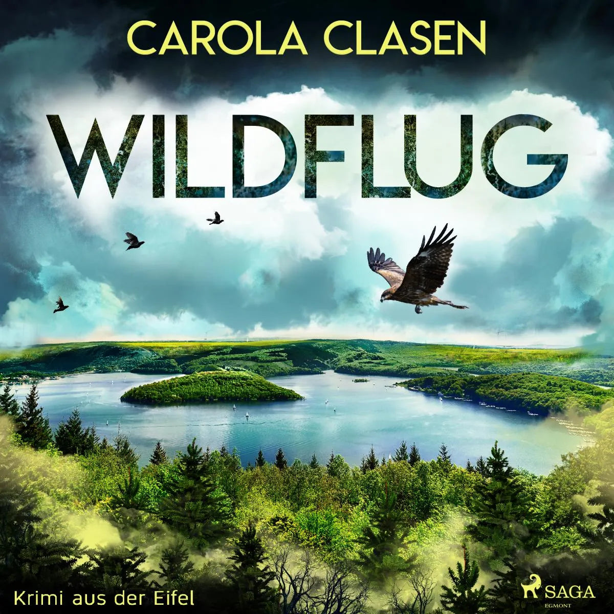 Cover: Wildflug (Hörbuch Download) von Carola Clasen