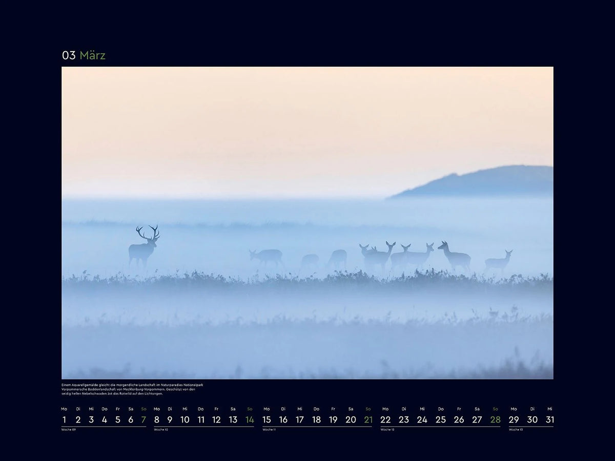 Wildnis Deutschland - KUNTH Wandkalender 2027 – Ansicht