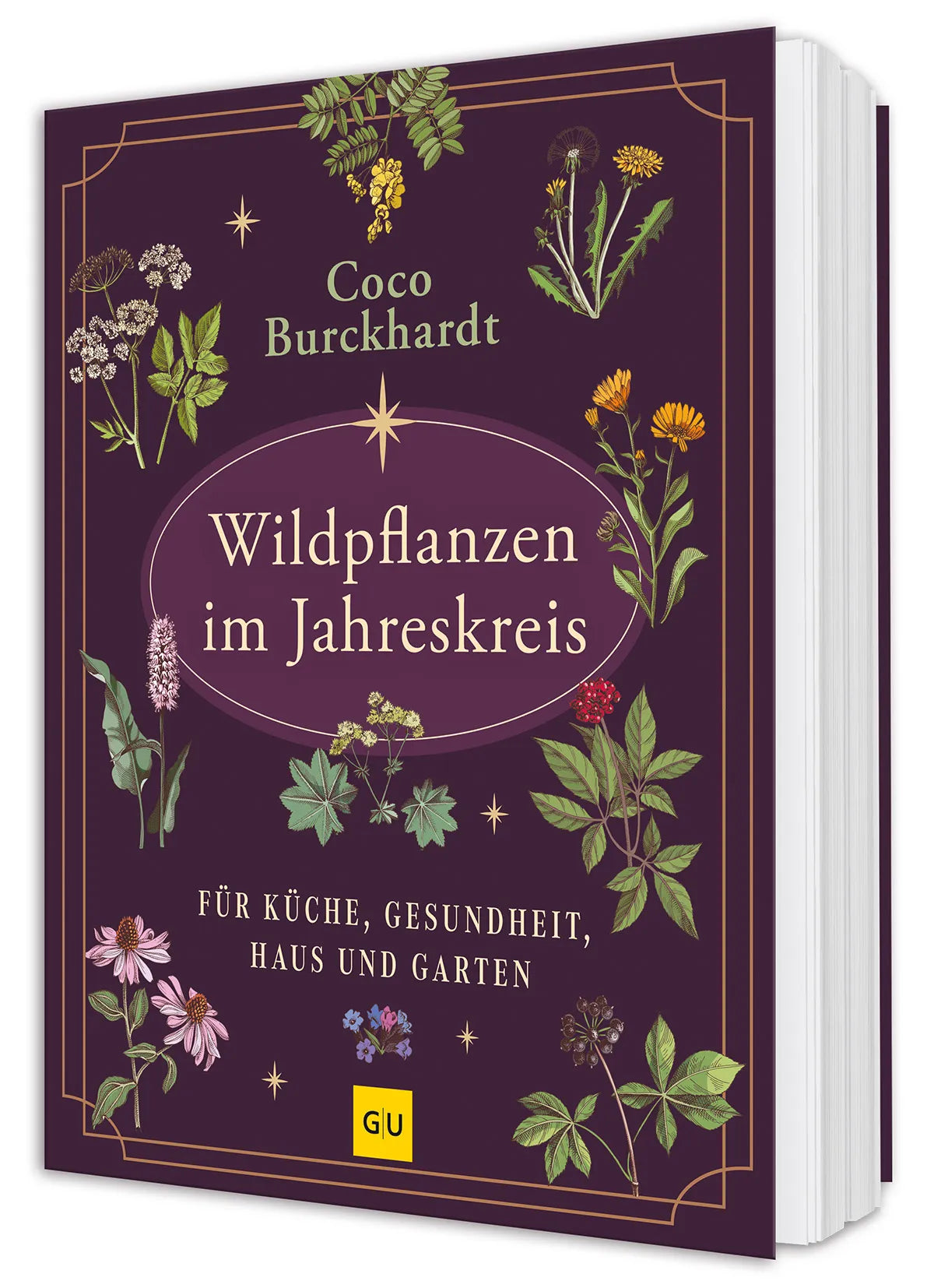 Cover: Wildpflanzen im Jahreskreis (Hardcover) von Coco Burckhardt