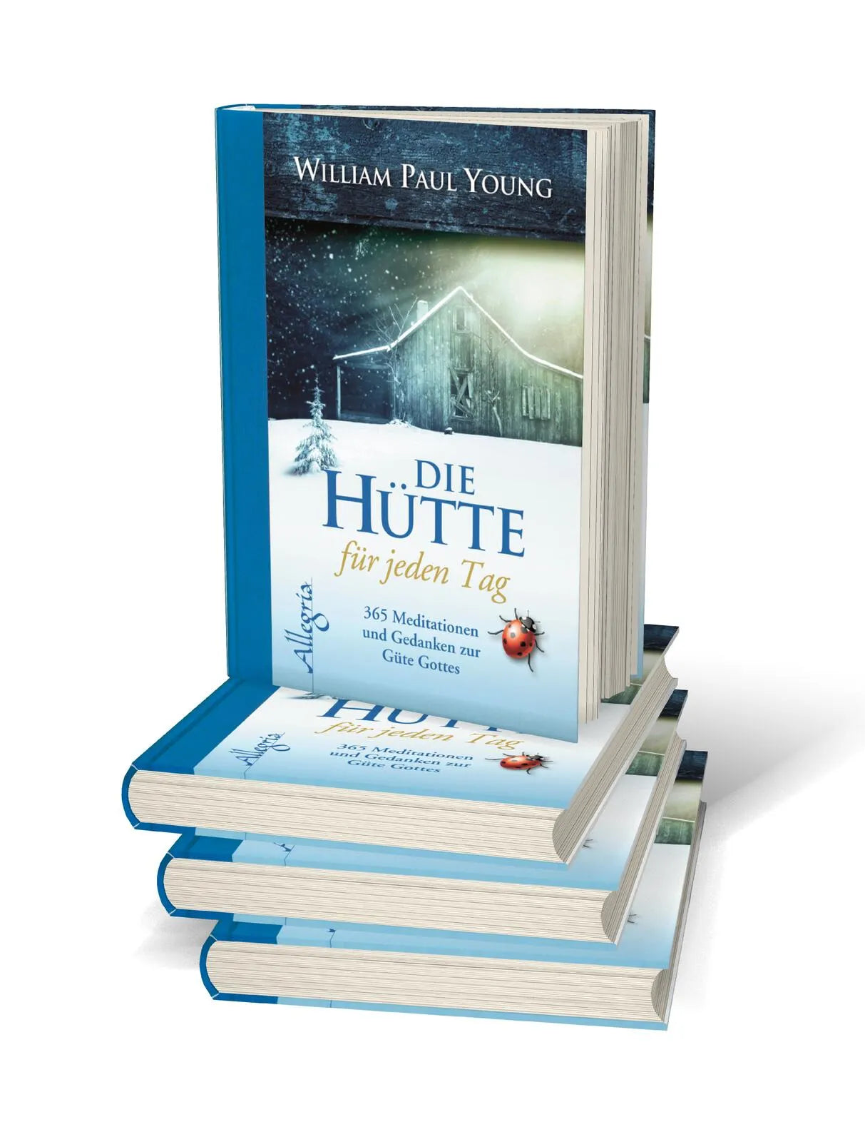 Produktansicht: DIE HÜTTE für jeden Tag (Gebundene Ausgabe)