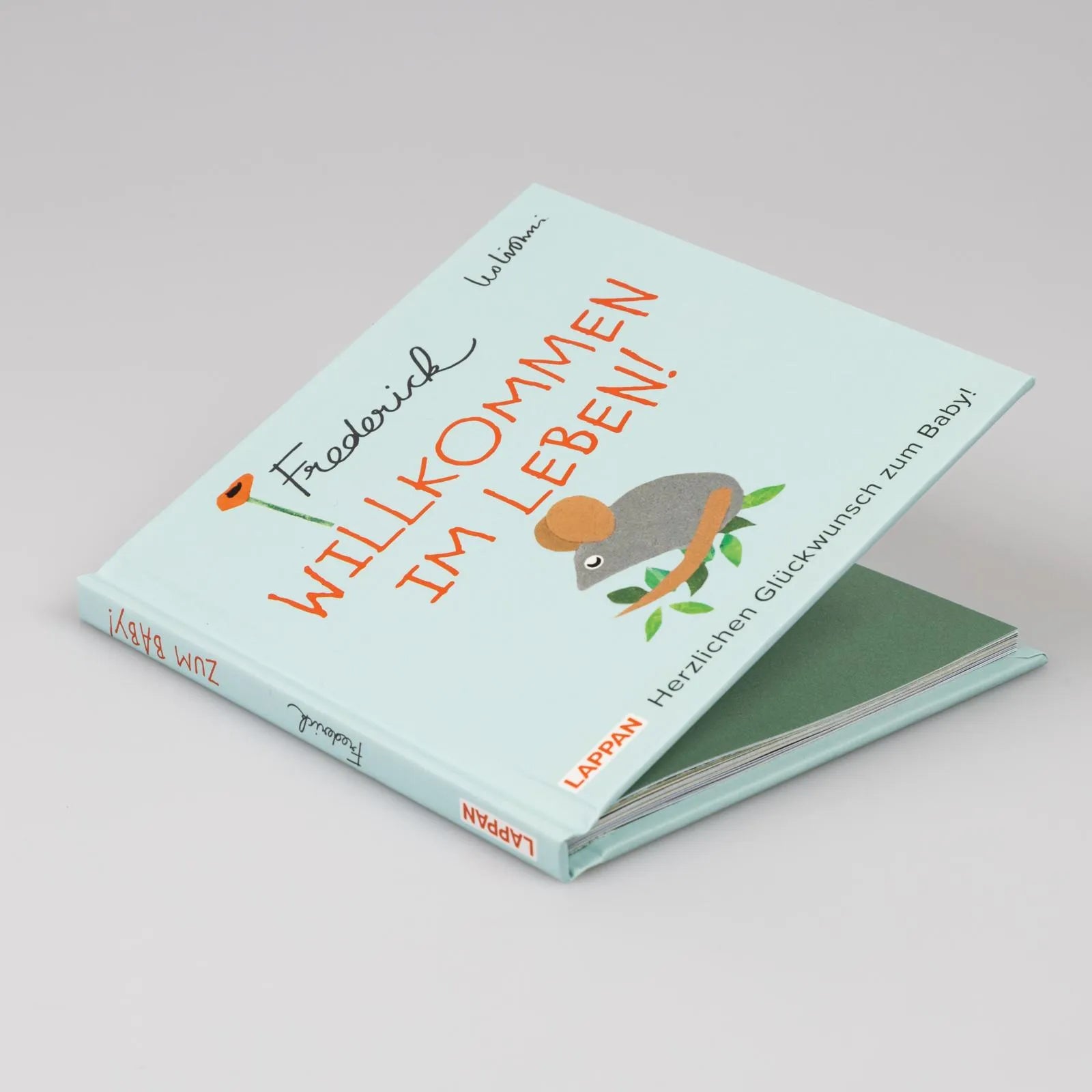Detailansicht: Willkommen im Leben! Herzlichen Glückwunsch zum Baby! (Taschenbuch)