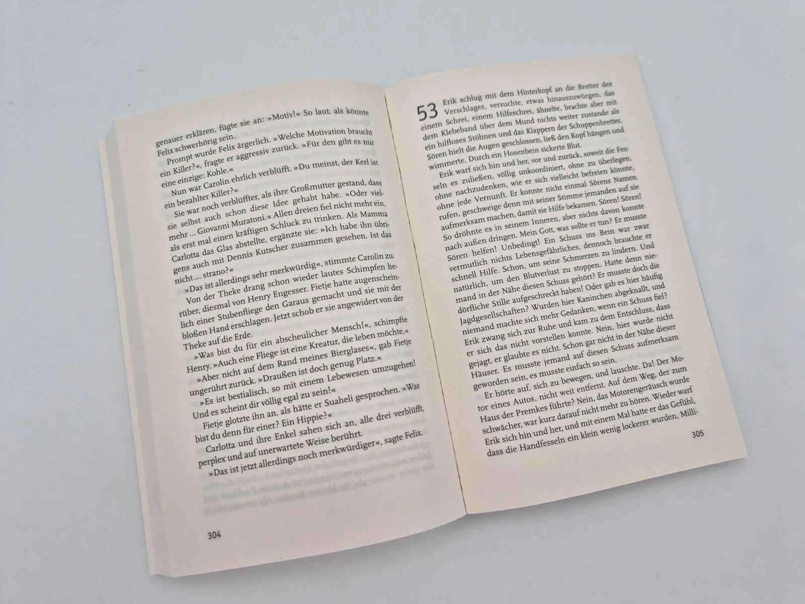 Detailansicht: Windjammer (Taschenbuch)