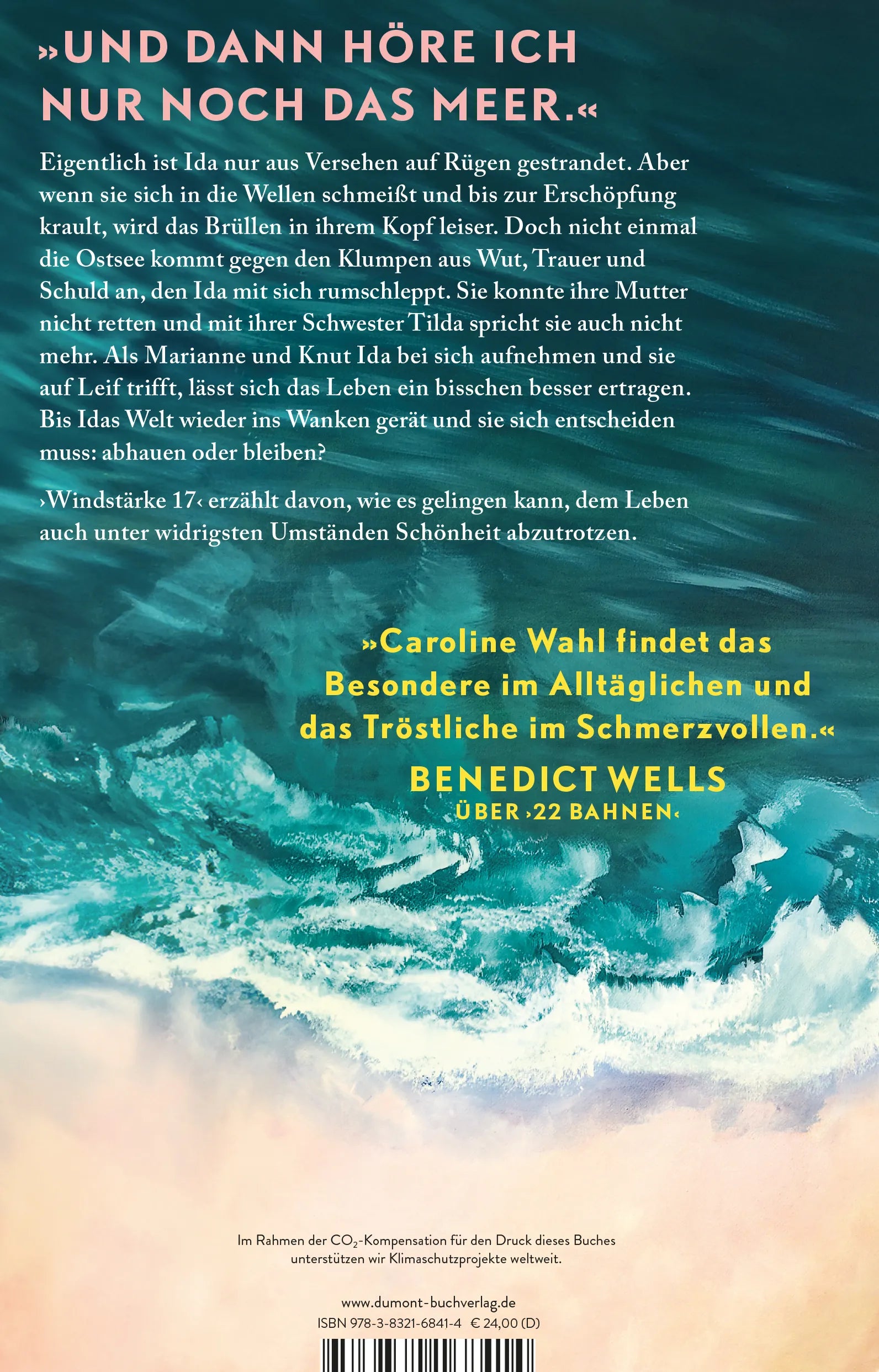 Rückseite: Windstärke 17 (Hardcover)