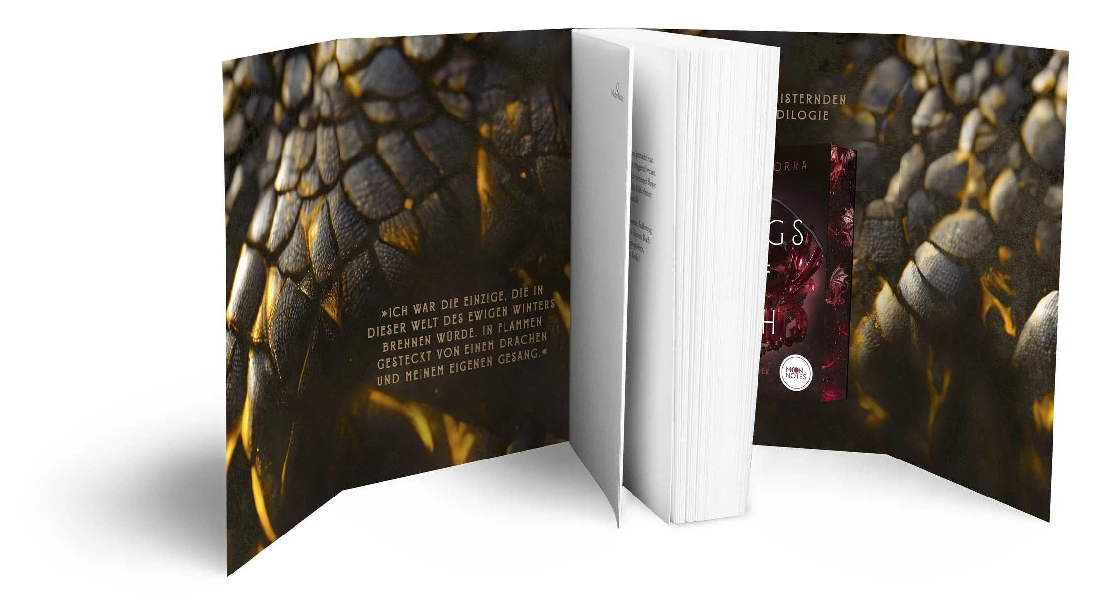 Detailansicht: Wings of Ash 1. Schlafende Drachen (Taschenbuch)