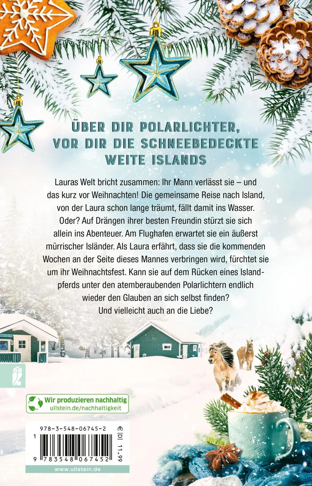 Buchrückseite von 'Winterglück auf dem kleinen Pferdehof in Island' mit Klappentext - Taschenbuch