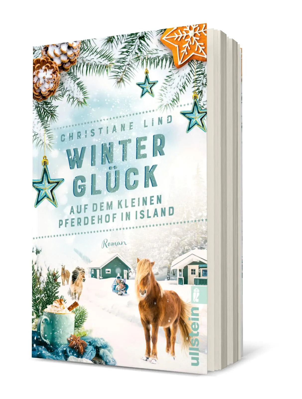 Produktansicht: Winterglück auf dem kleinen Pferdehof in Island (Taschenbuch)