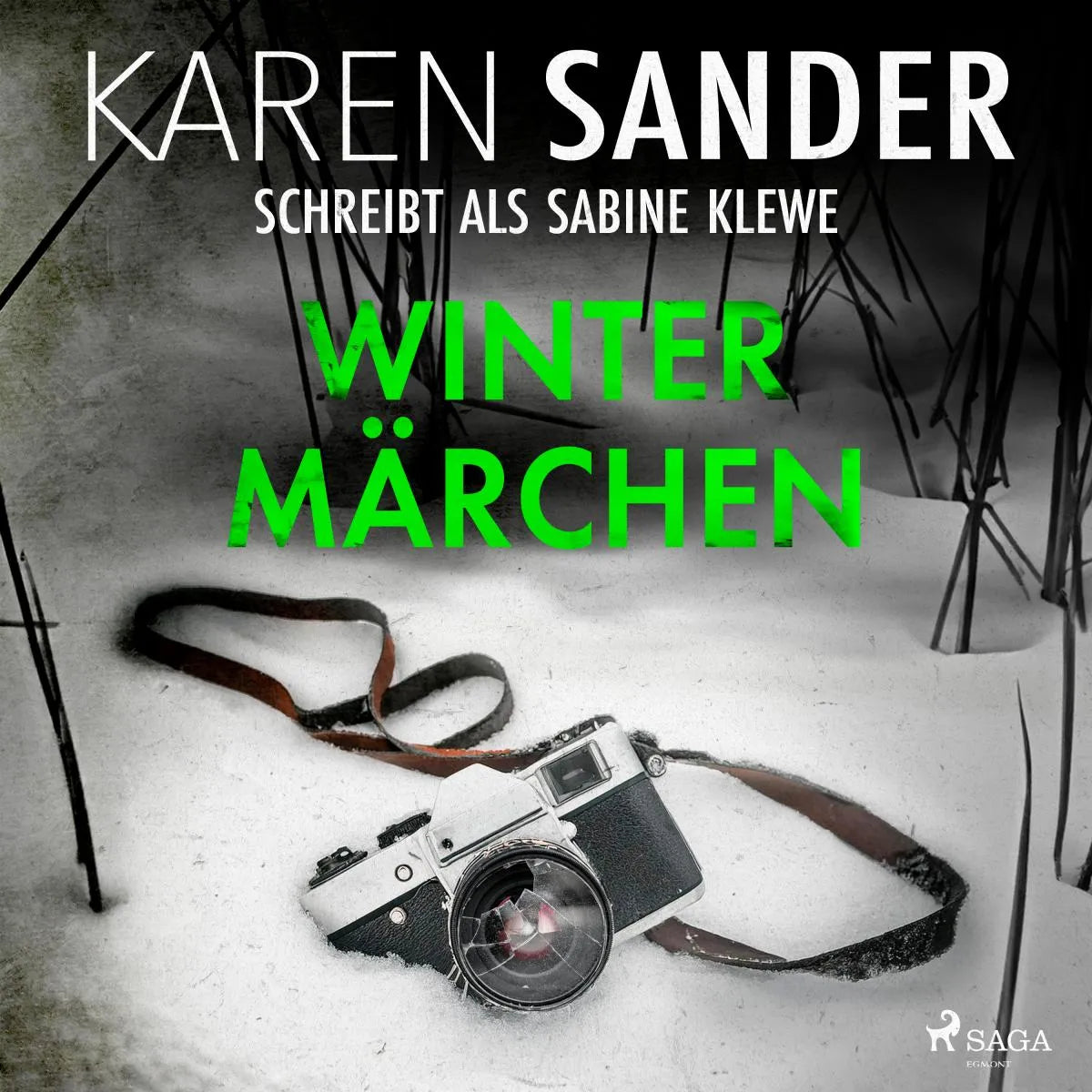 Cover: Wintermärchen (Hörbuch Download) von Karen Sander