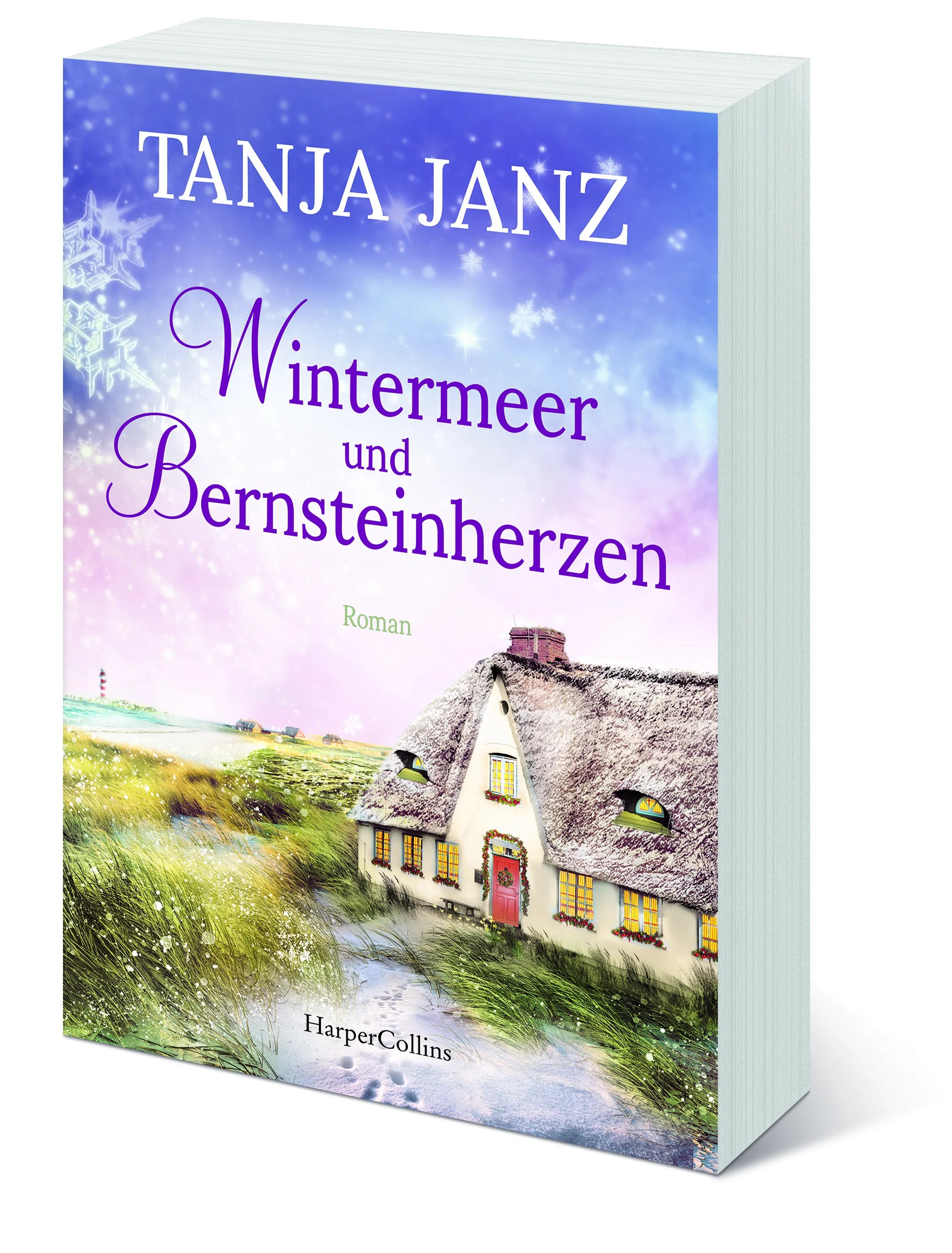 Detailansicht: Wintermeer und Bernsteinherzen (Taschenbuch)