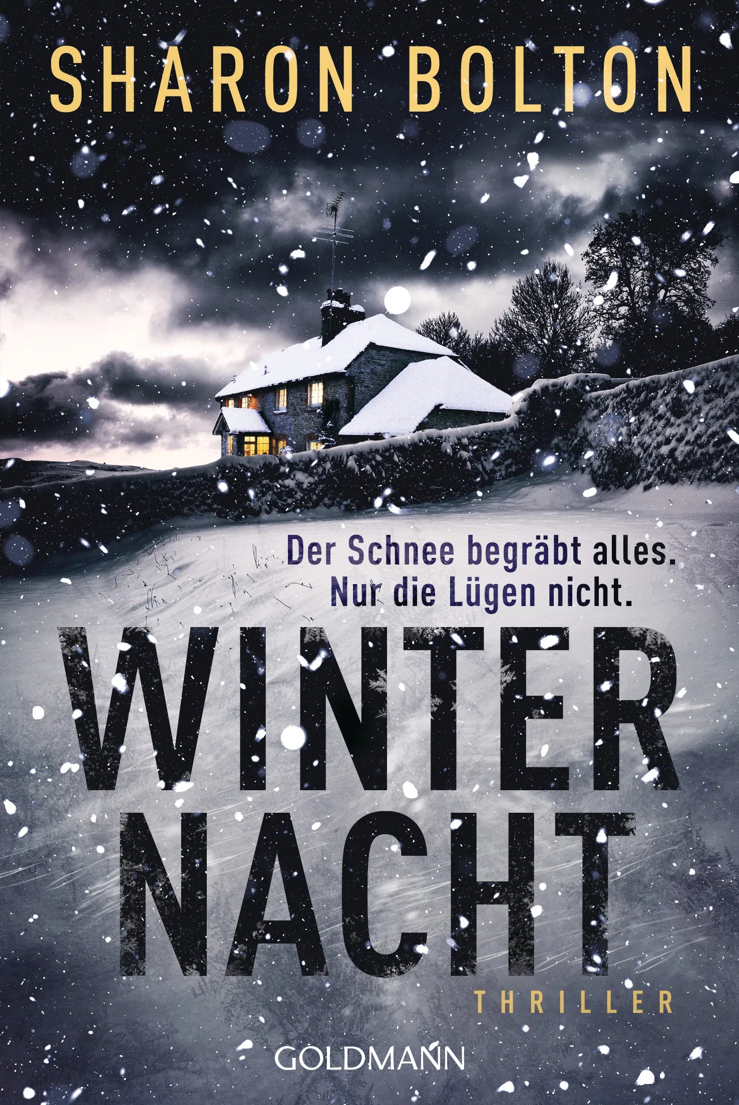 Cover: Winternacht - Der Schnee begräbt alles. Nur die Lügen nicht (E-Book) von Sharon Bolton