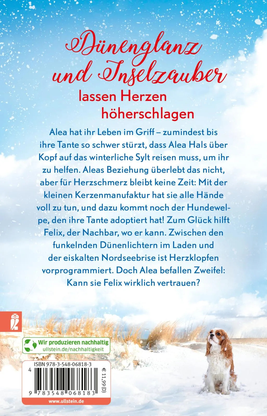 Buchrückseite von 'Winterträume in der kleinen Manufaktur am Meer' mit Klappentext - Taschenbuch