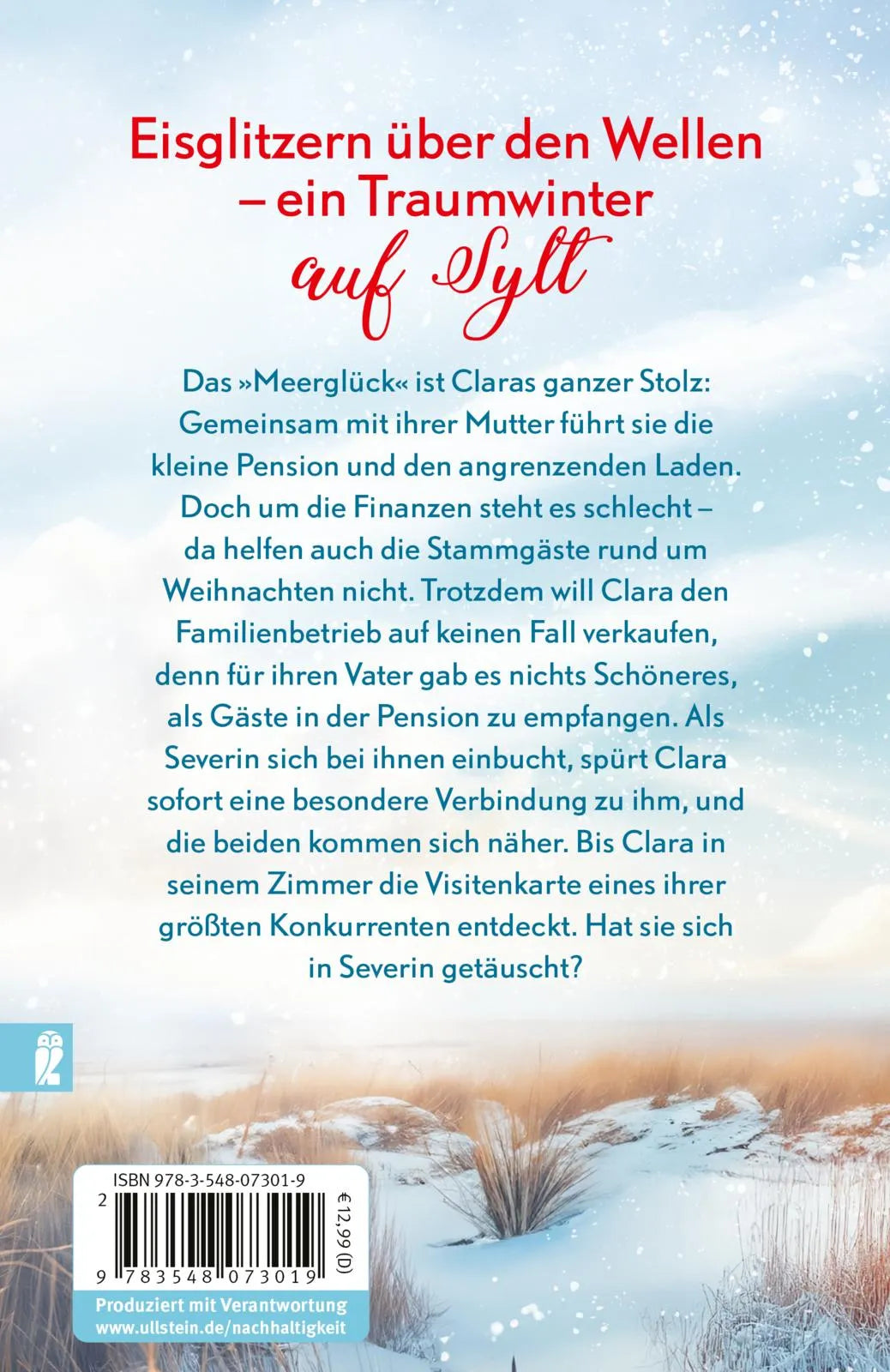 Buchrückseite von 'Winterträume in der kleinen Pension am Meer' mit Klappentext - Taschenbuch