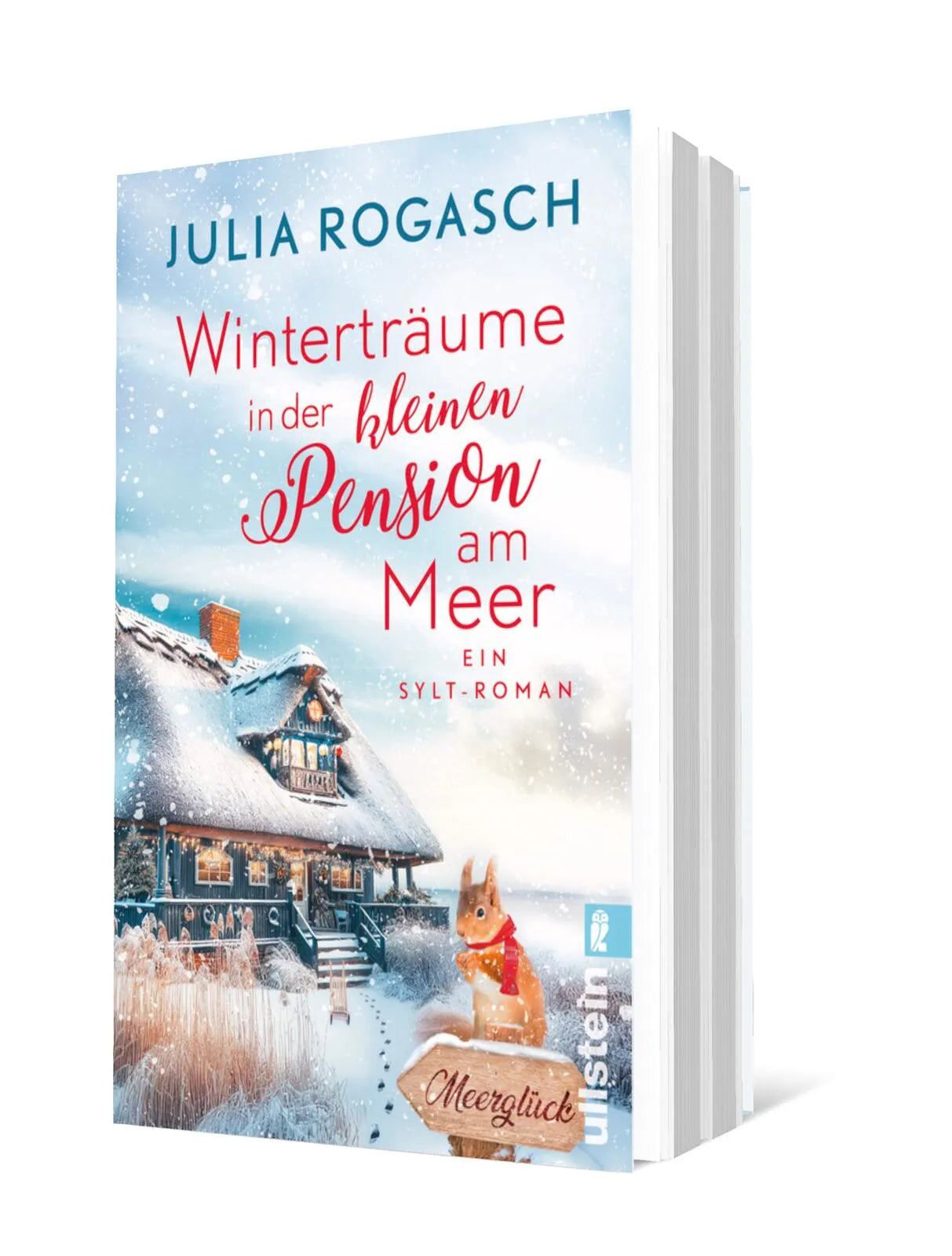 Produktansicht: Winterträume in der kleinen Pension am Meer (Taschenbuch)