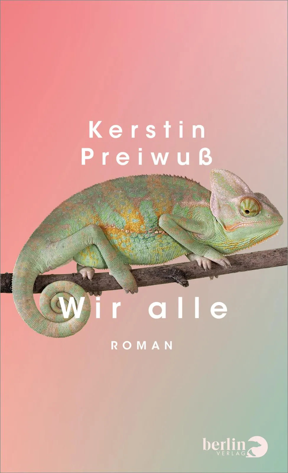 Cover: Wir alle (Hardcover) von Kerstin Preiwuß