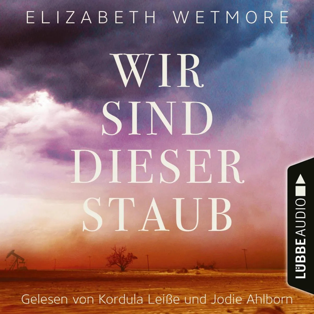 Cover: Wir sind dieser Staub (Hörbuch Download) von Elizabeth Wetmore