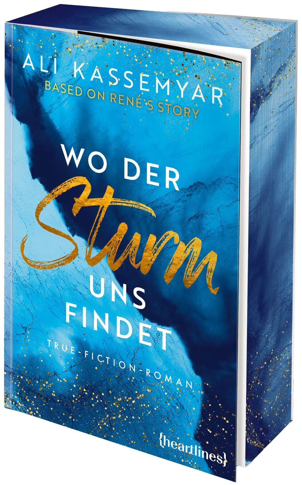 Cover: Wo der Sturm uns findet – Based on René's Story (Paperback) von Ali Kassemyar