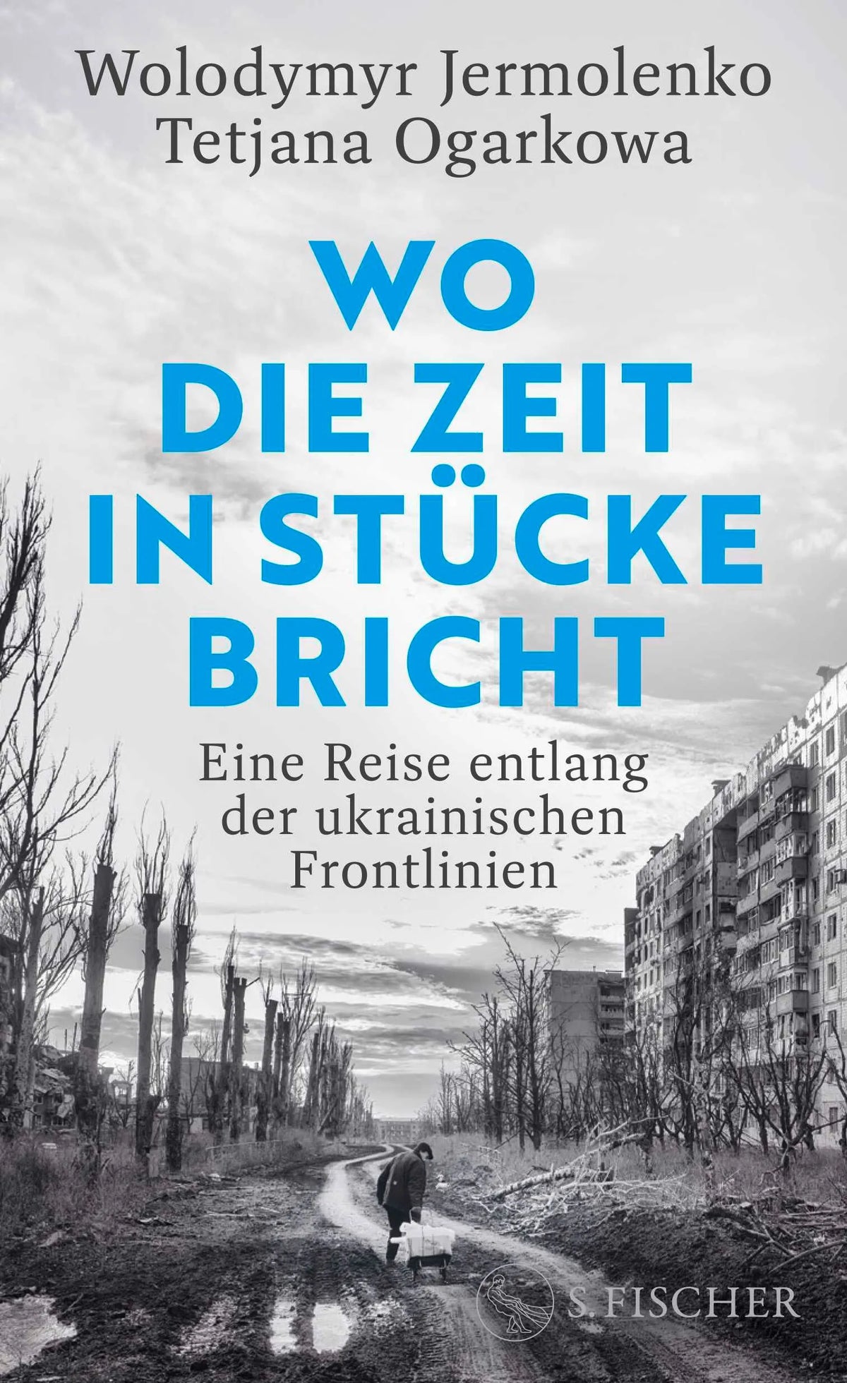 Cover: Wo die Zeit in Stücke bricht (Hardcover) von Wolodymyr Jermolenko