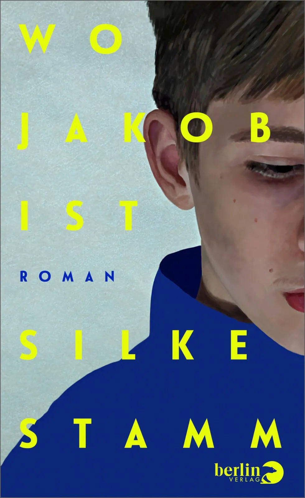 Cover: Wo Jakob ist (Hardcover) von Silke Stamm
