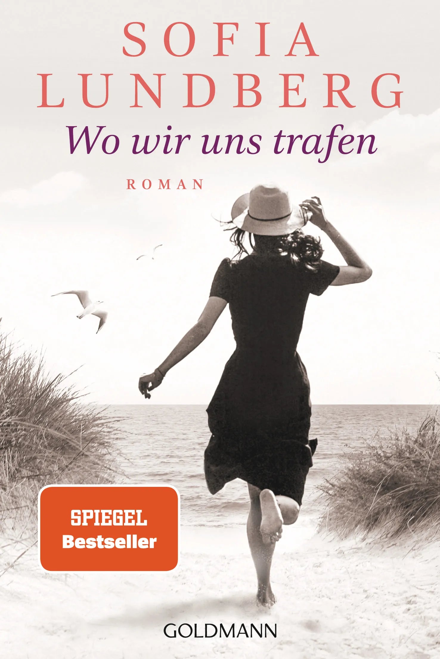 Cover: Wo wir uns trafen (E-Book) von Sofia Lundberg