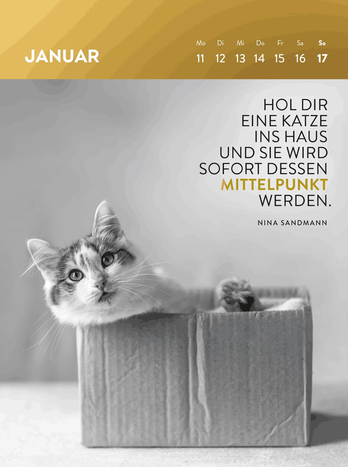 Wochenkalender 2027: Goldene Katzenweisheiten für jeden Tag – Ansicht