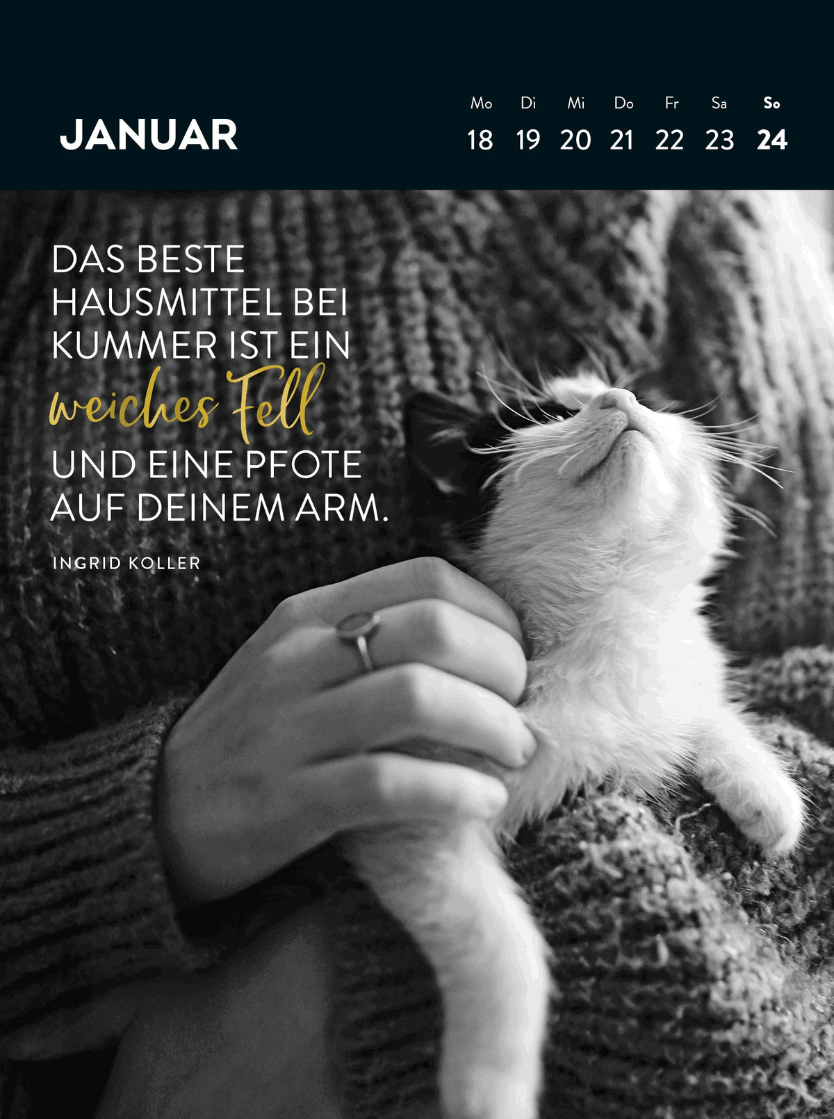 Wochenkalender 2027: Goldene Katzenweisheiten für jeden Tag – Ansicht