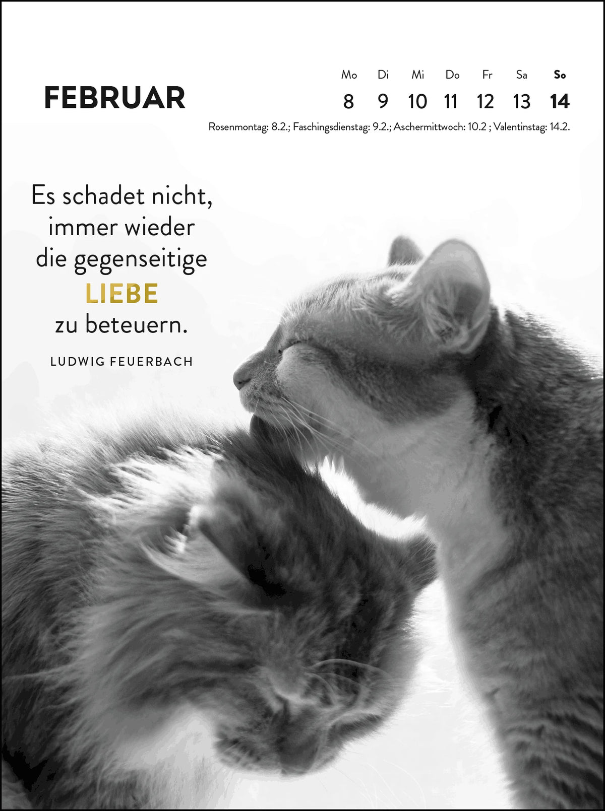 Wochenkalender 2027: Goldene Katzenweisheiten für jeden Tag – Ansicht