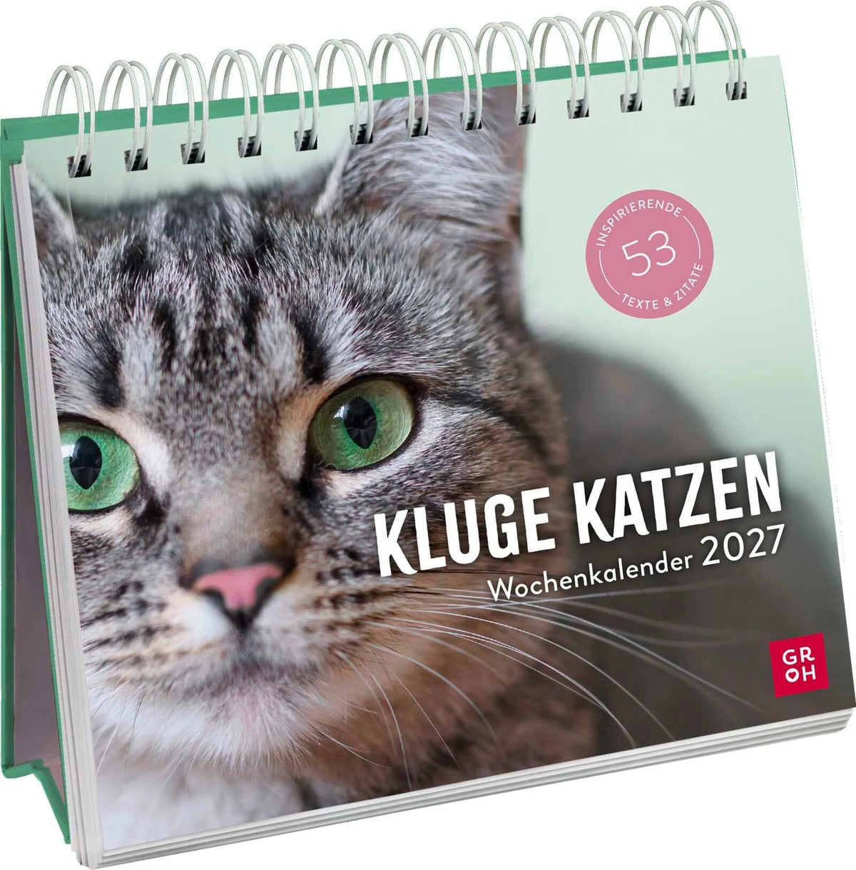 Taschenkalender: Wochenkalender 2027: Kluge Katzen