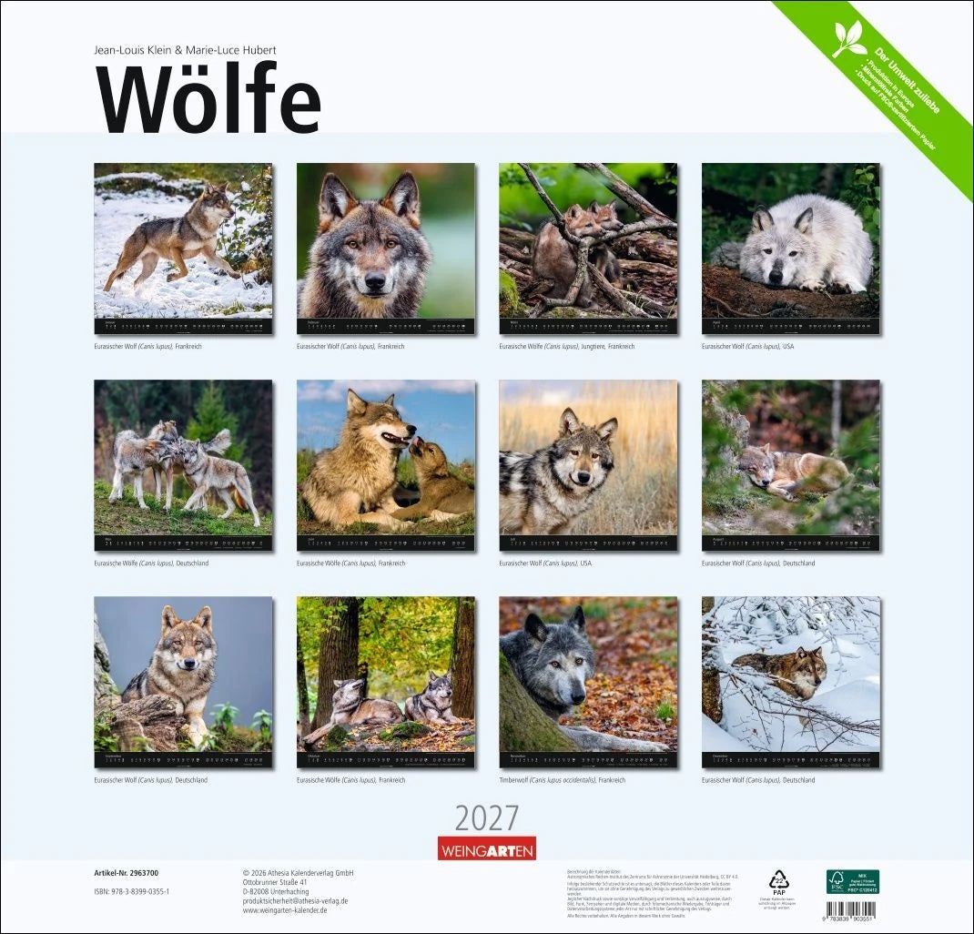Wölfe Kalender 2027 – Ansicht