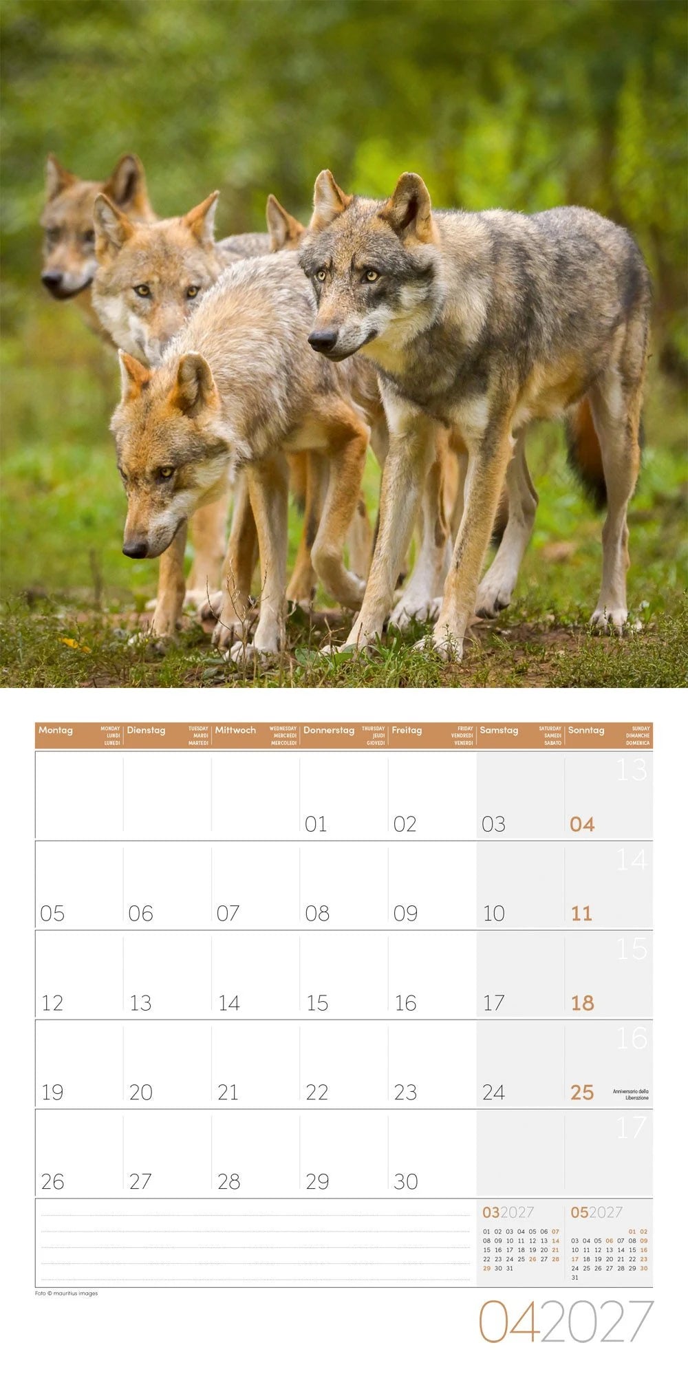 Wölfe Kalender 2027 - 30x30 - Art12 – Ansicht