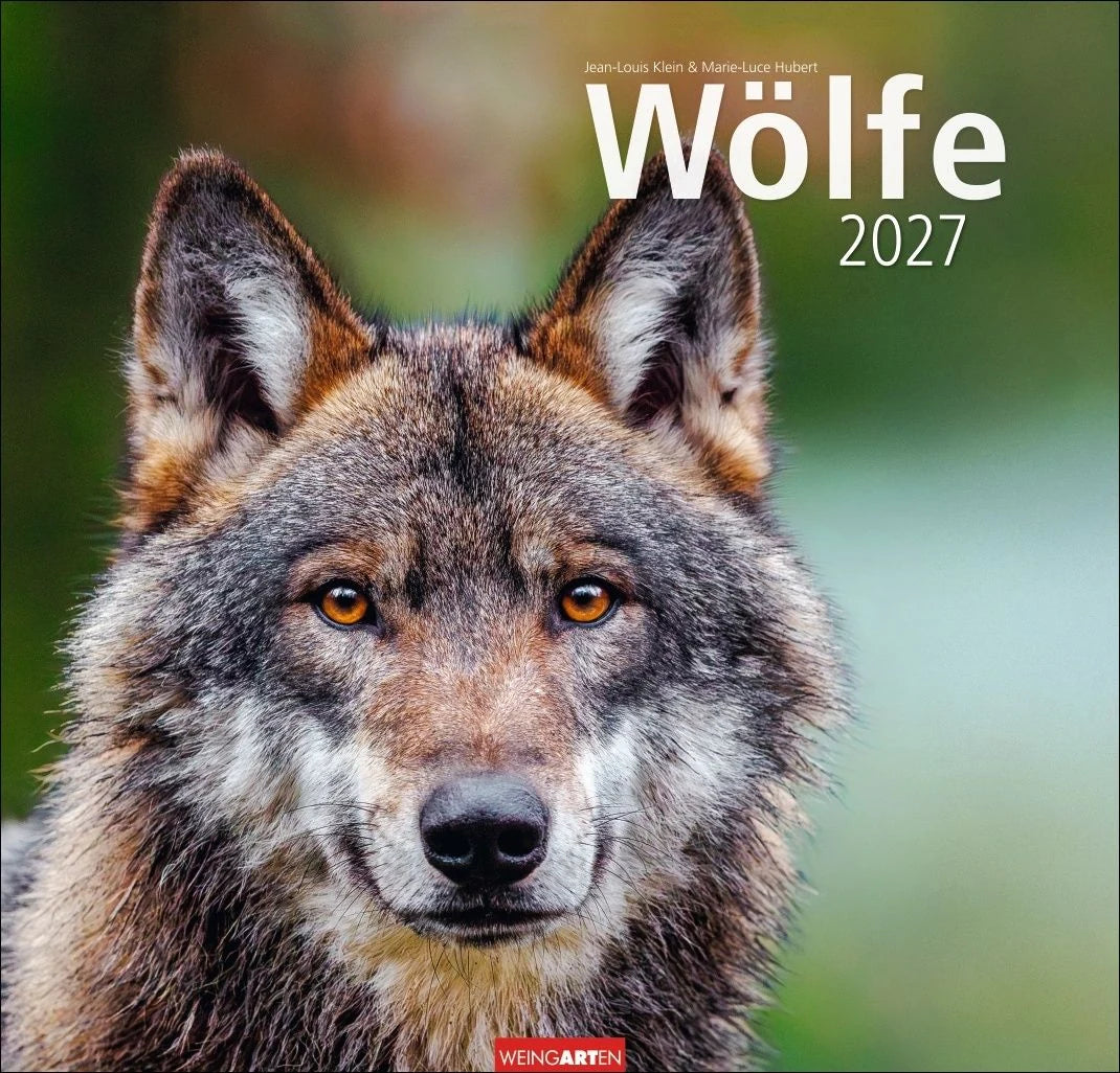 Wandkalender: Wölfe Kalender 2027