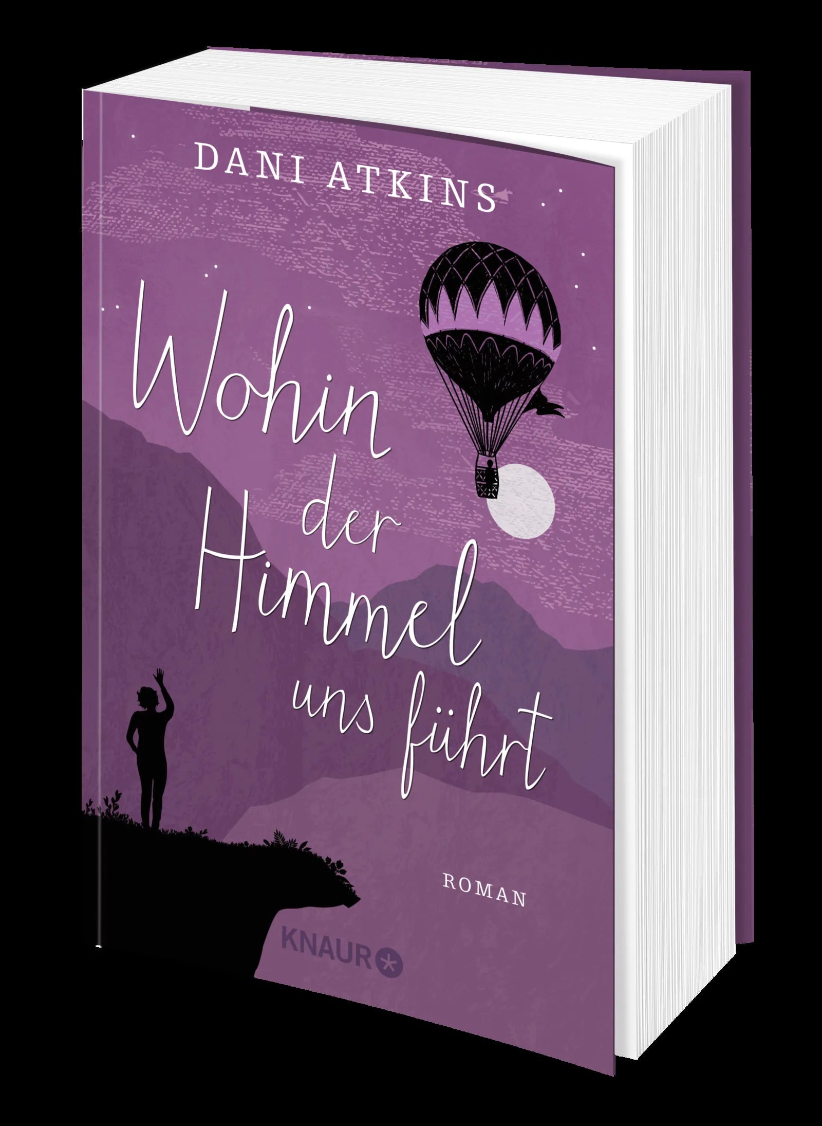 Dani Atkins - Wohin der Himmel uns führt