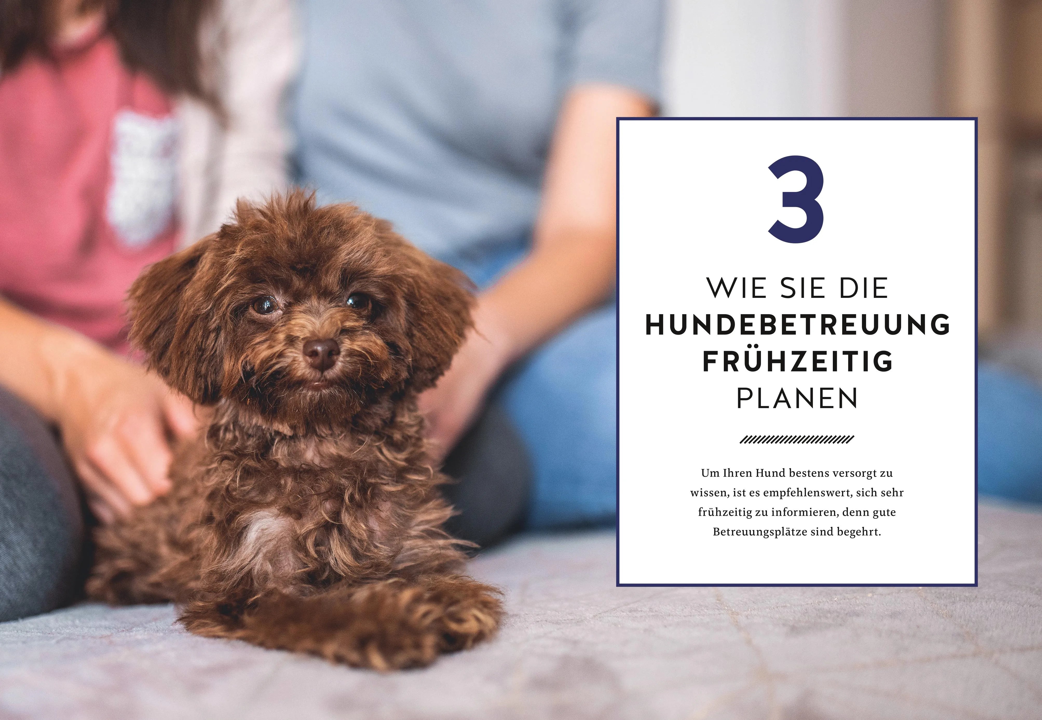 Abbildung von 'Wohin mit meinem Hund?'